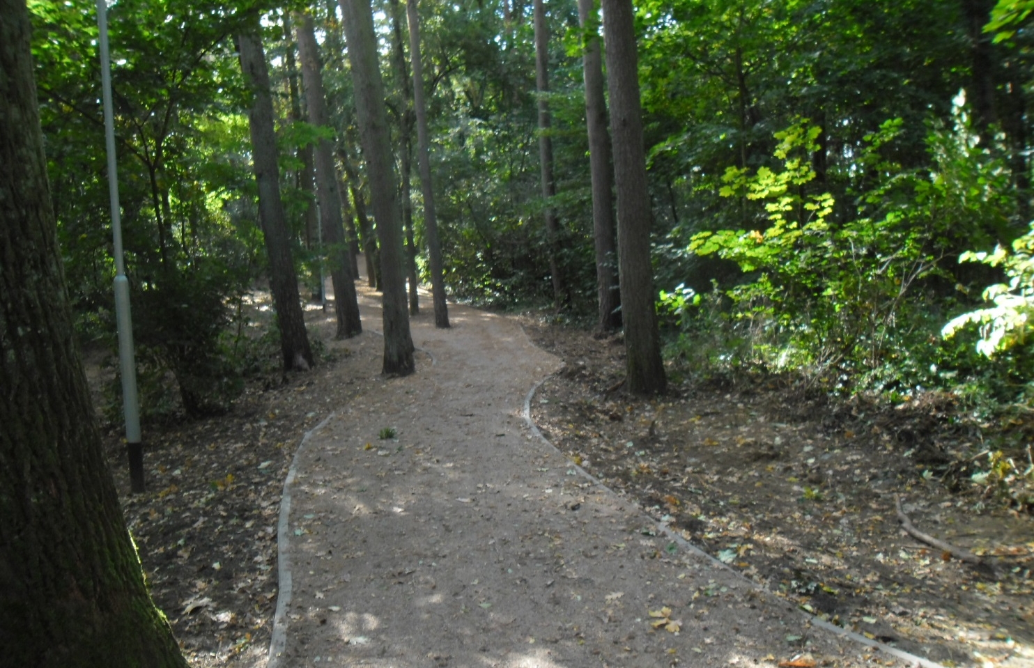 Koniec z egipskimi ciemnościami przy Arkonce