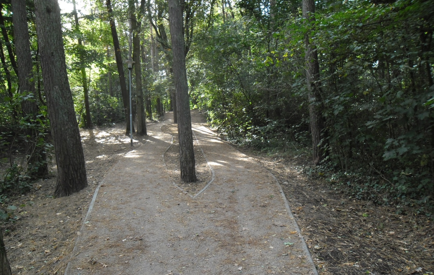 Koniec z egipskimi ciemnościami przy Arkonce