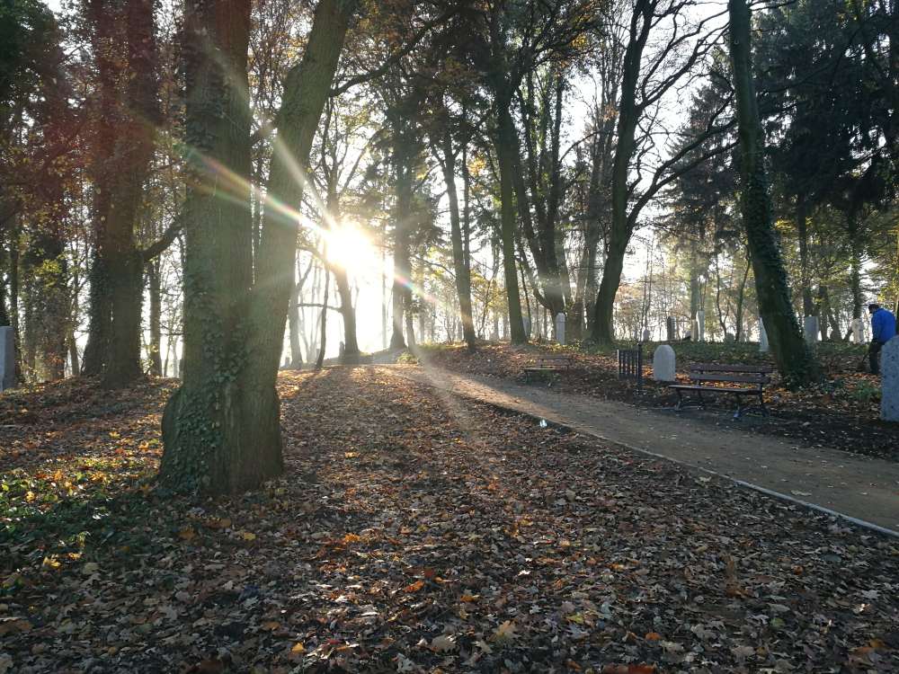 Koniec z egipskimi ciemnościami przy Arkonce