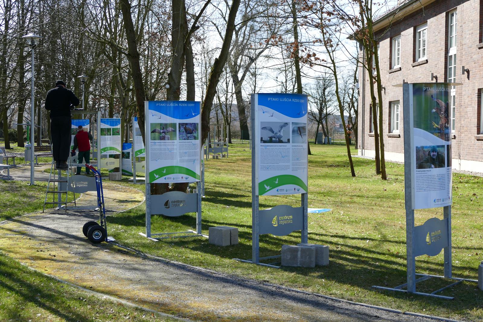 Wróciły ptaki ujścia Odry