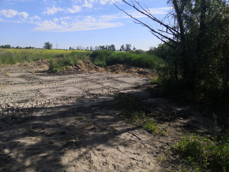 IMG_20200602_092645.jpg IMG_20200602_092645.jpg