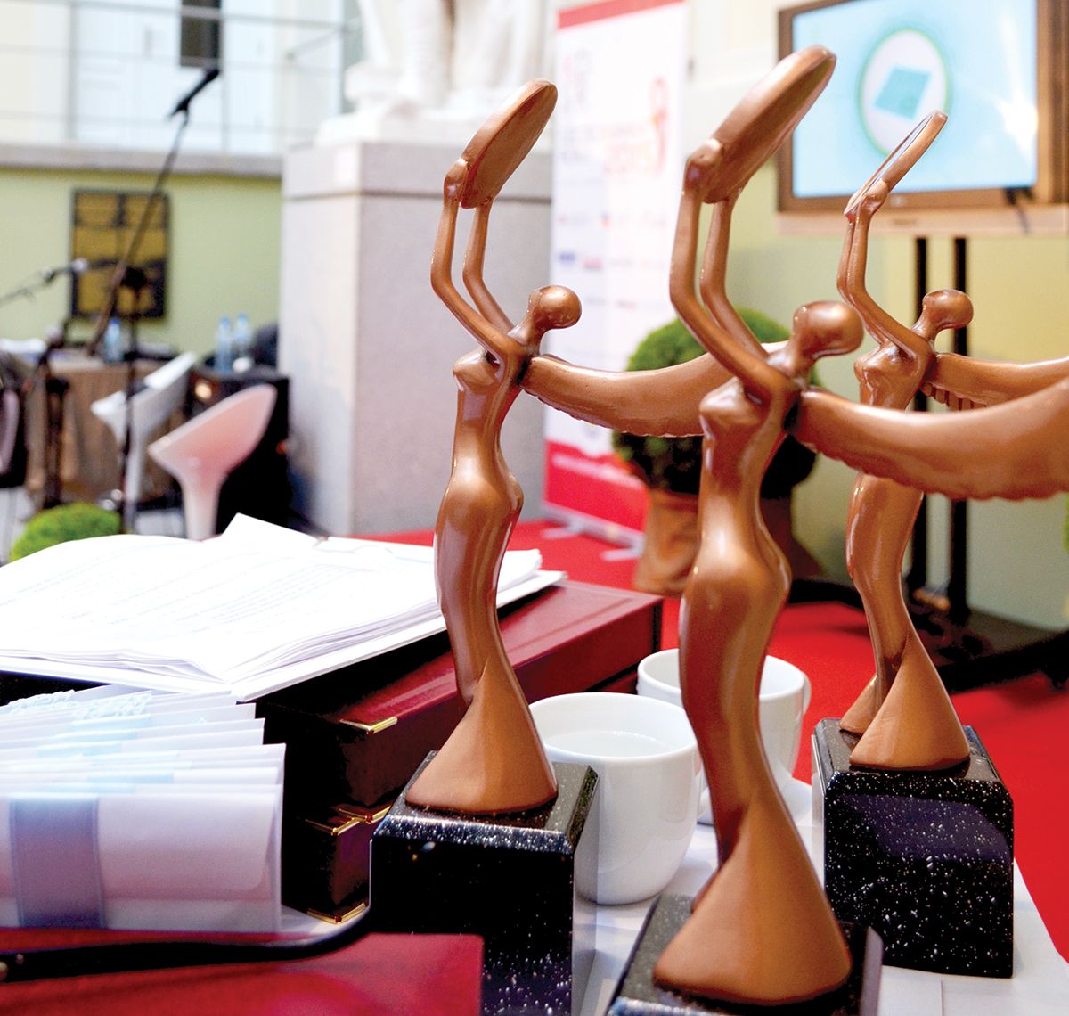 Wybieramy Szczeciniankę i Eko Szczeciniankę Roku 2016!