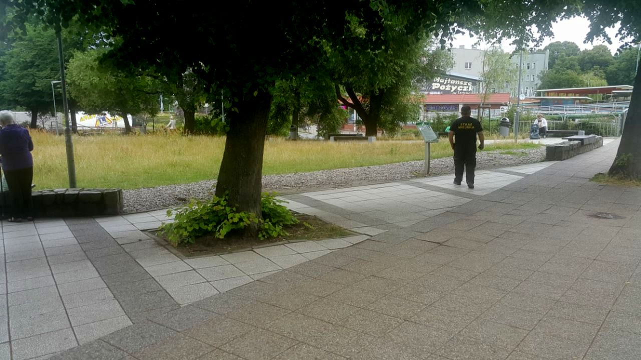 skwer Wallenberga 5.jpeg