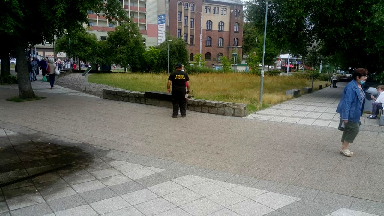 skwer Wallenberga 6.jpeg