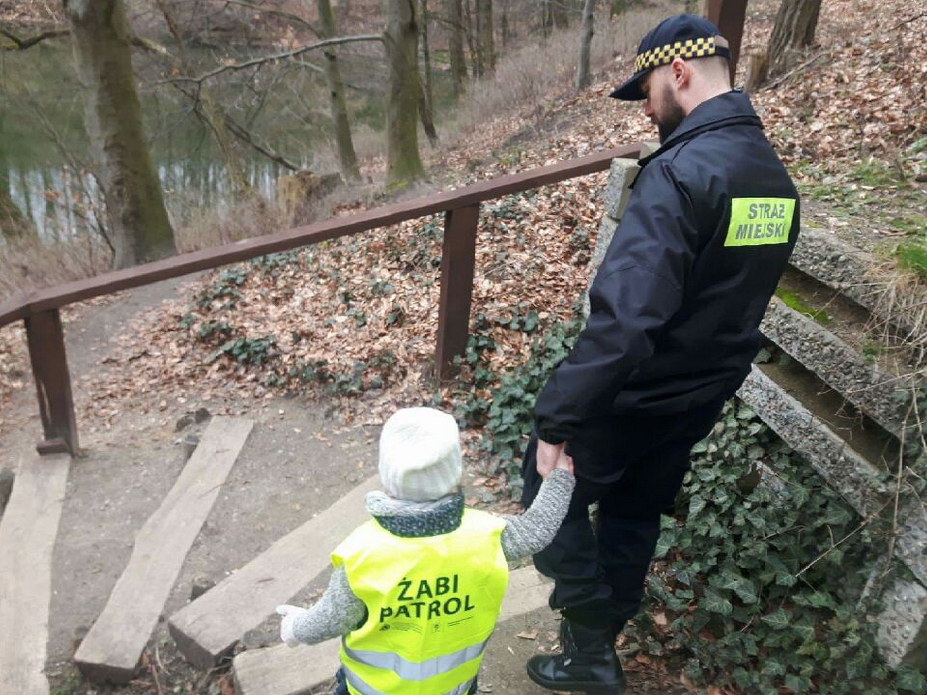 Żabi patrol również nocą