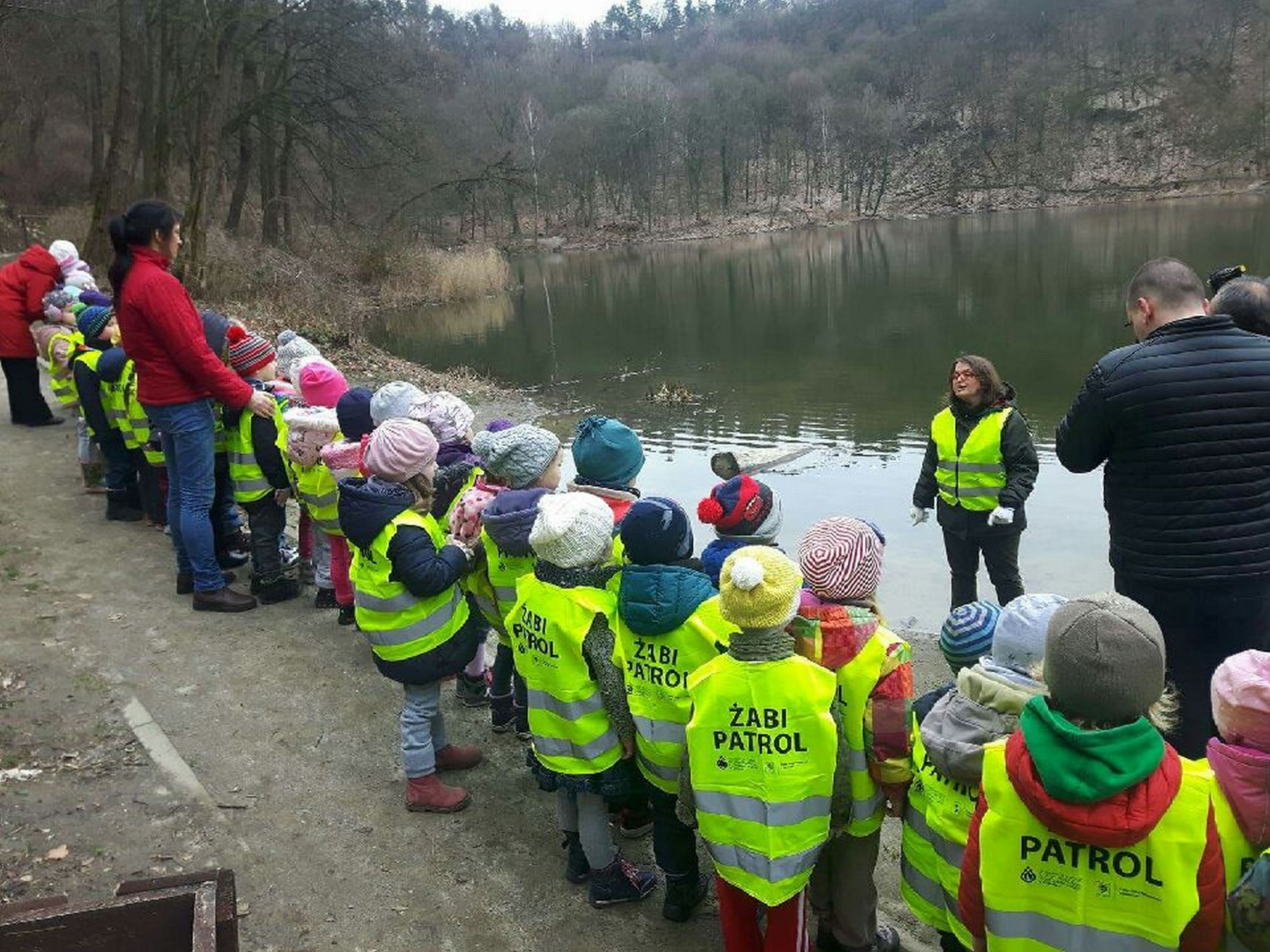 Żabi patrol również nocą