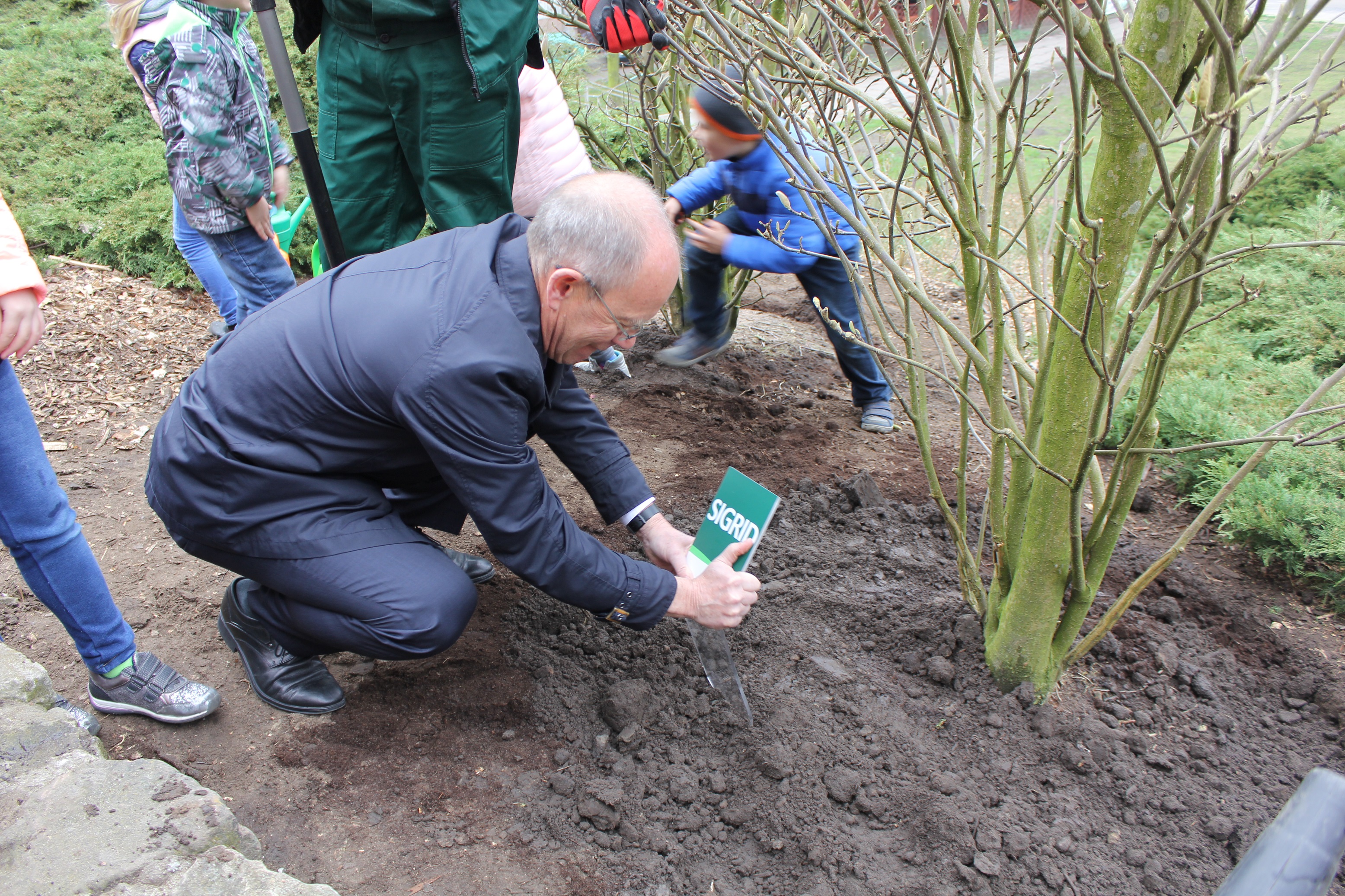 Mini, Pippi, Sigrid i Heidi mają pięknie rosnąć