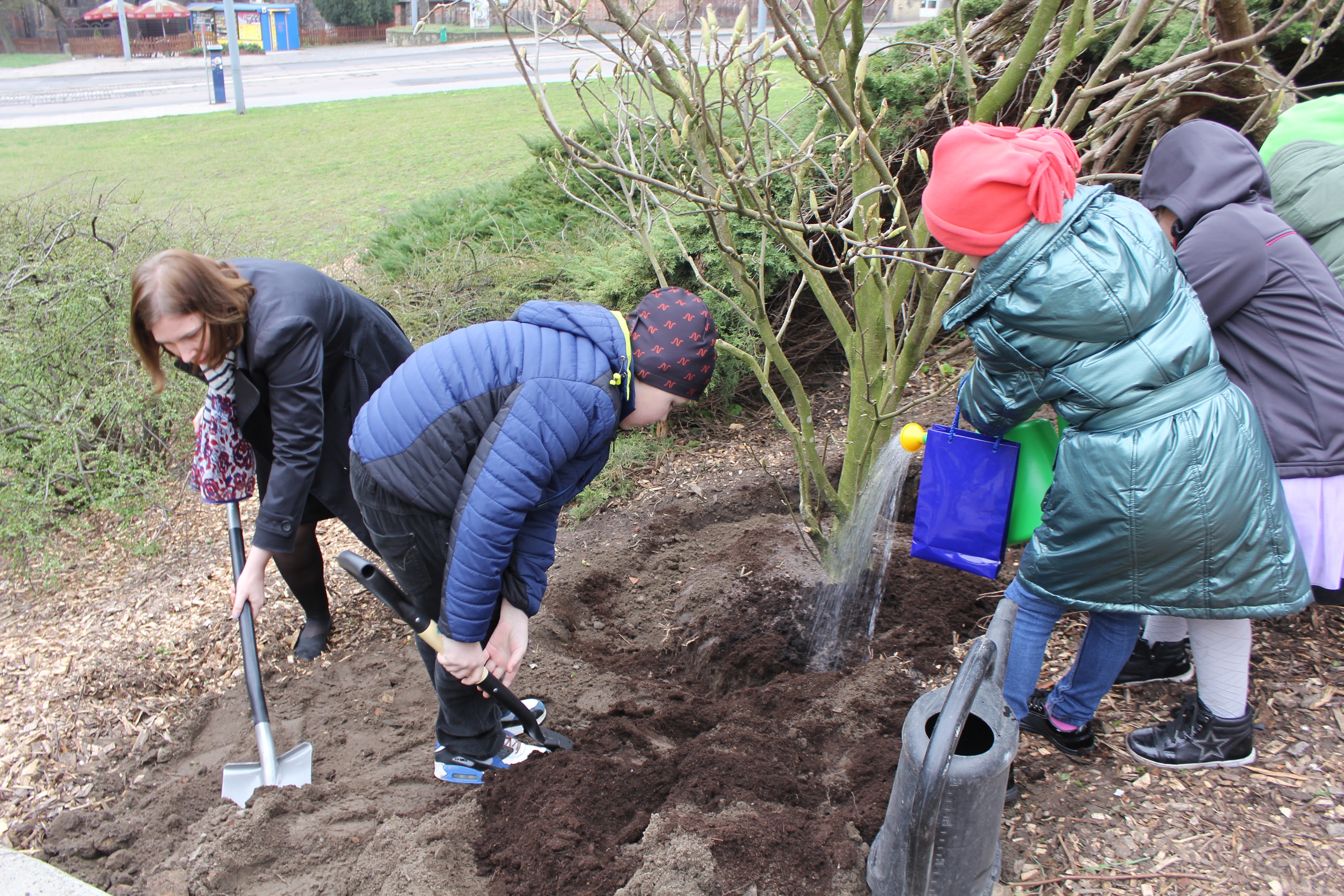 Mini, Pippi, Sigrid i Heidi mają pięknie rosnąć