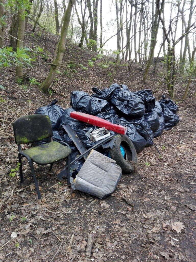 Dorośli śmiecą, dzieci sprzątają. Od maja rusza wielkie sprzątanie lasów