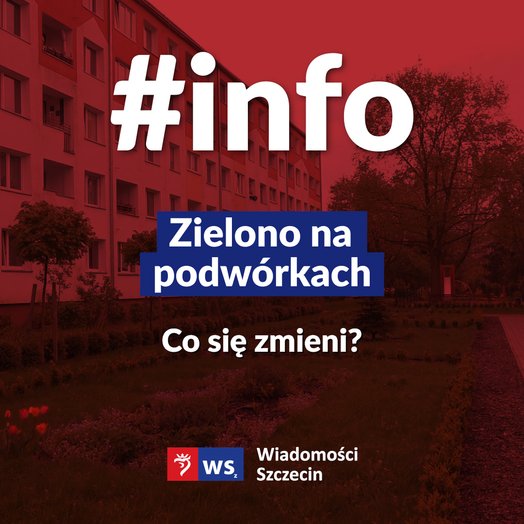 info #318 2021.03.12 MIN.jpg