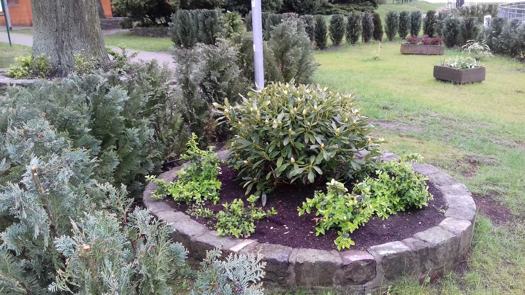 Mnóstwo niespodzianek na szczecińskiej Majorce