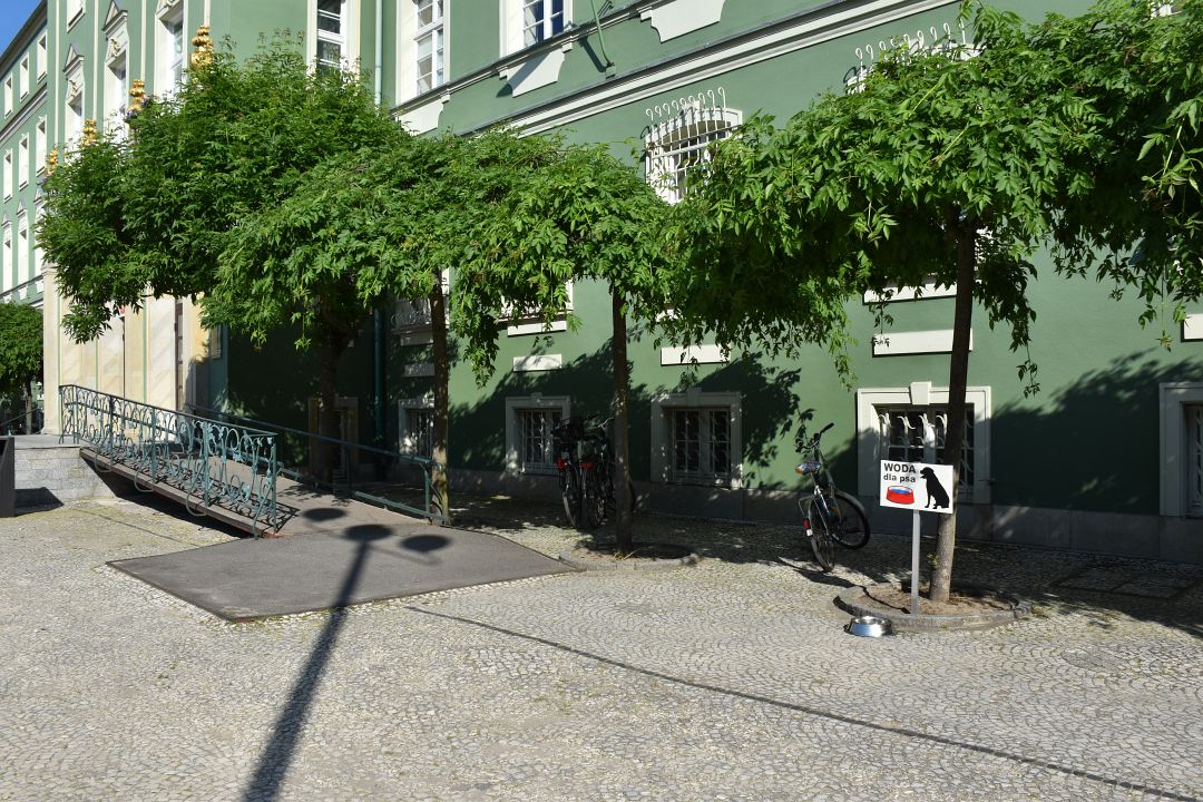 DSC_0350.jpg