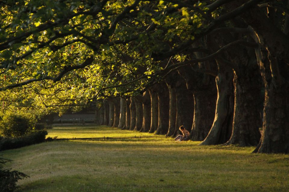 Zielony Szczeecin.jpg