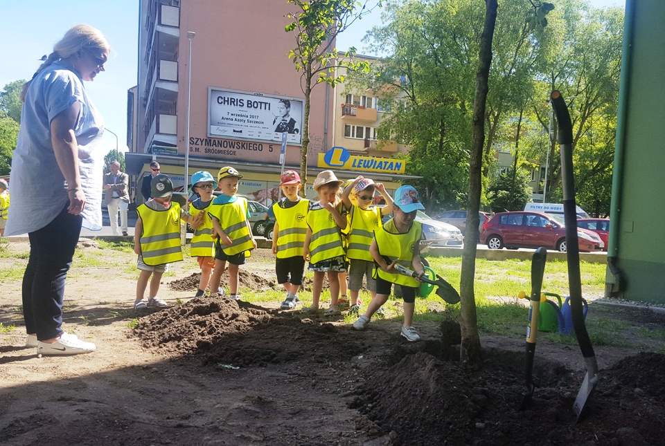 Kolejne nowe magnolie w Szczecinie