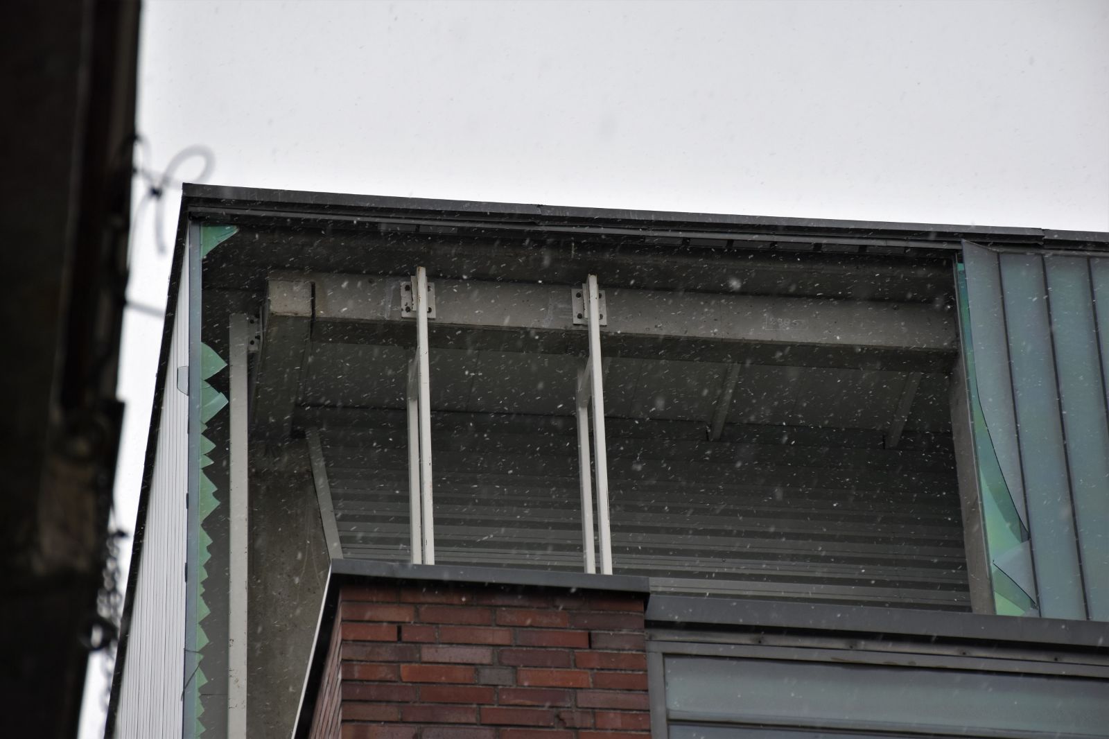 DSC_0175.JPG
