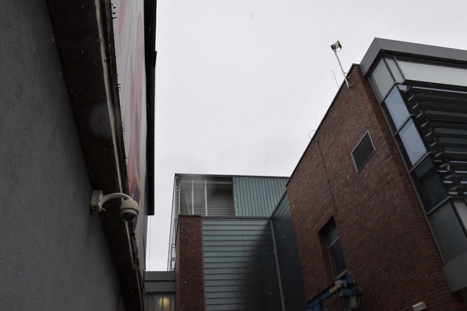 DSC_0178.JPG