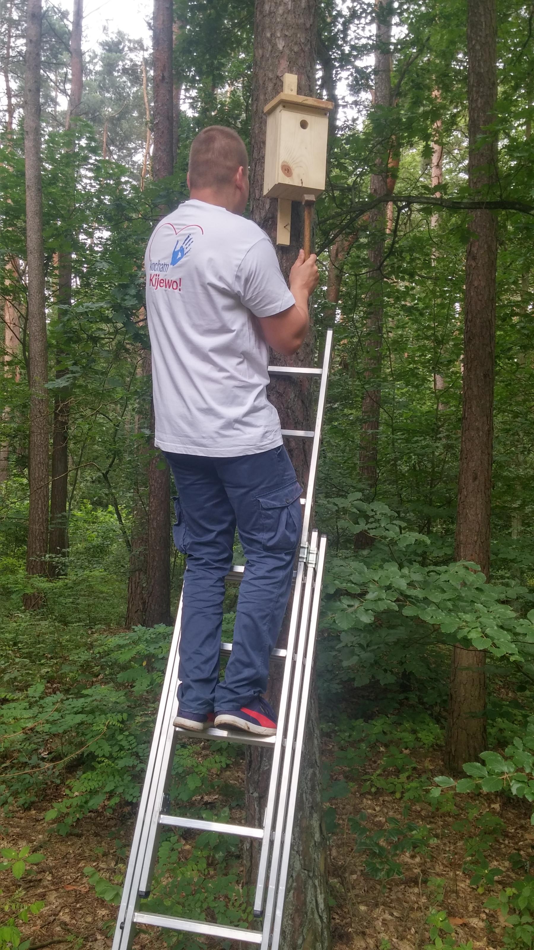 Powstaje ptasi azyl. W budowie pomagają mieszkańcy