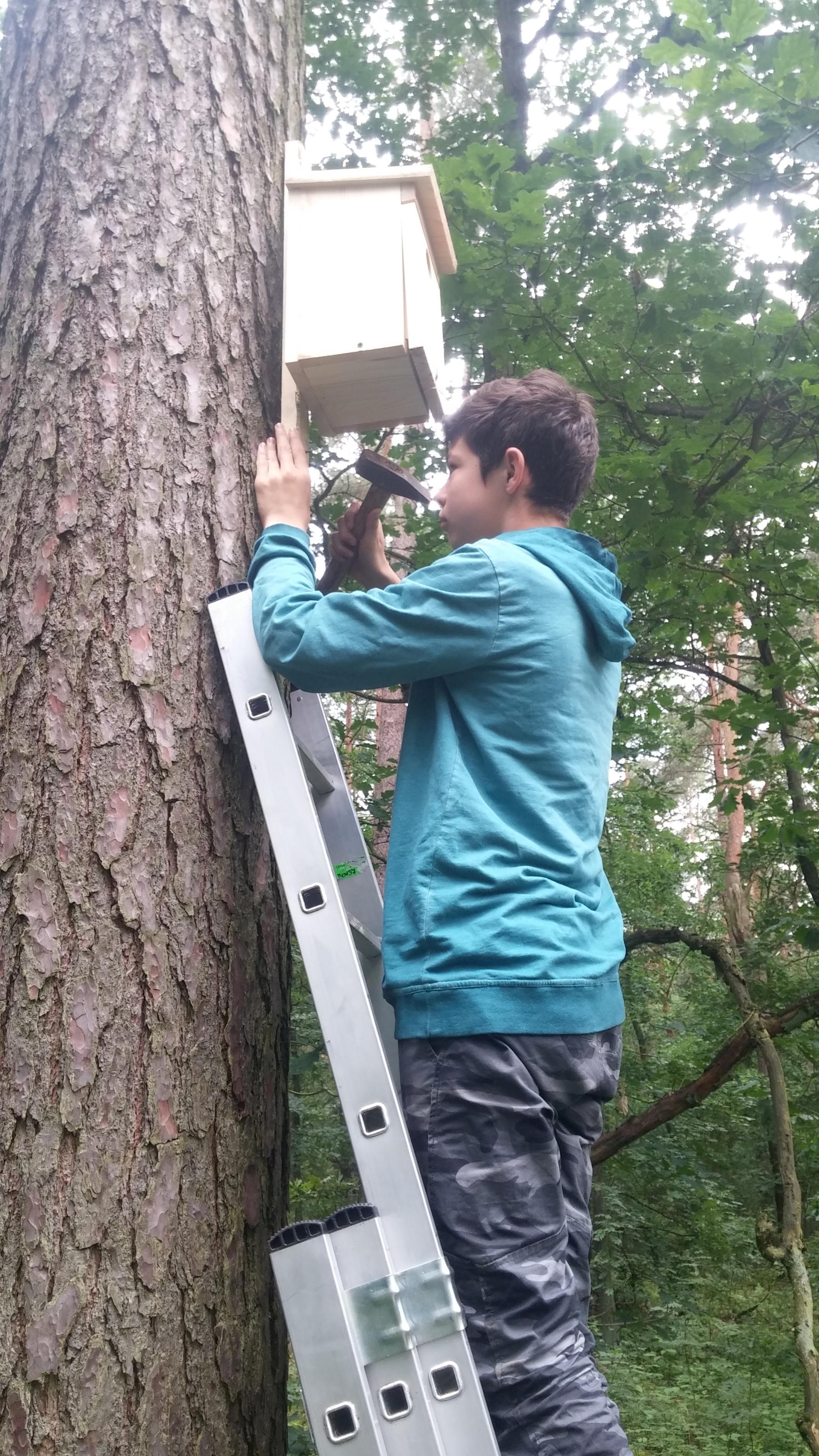Powstaje ptasi azyl. W budowie pomagają mieszkańcy