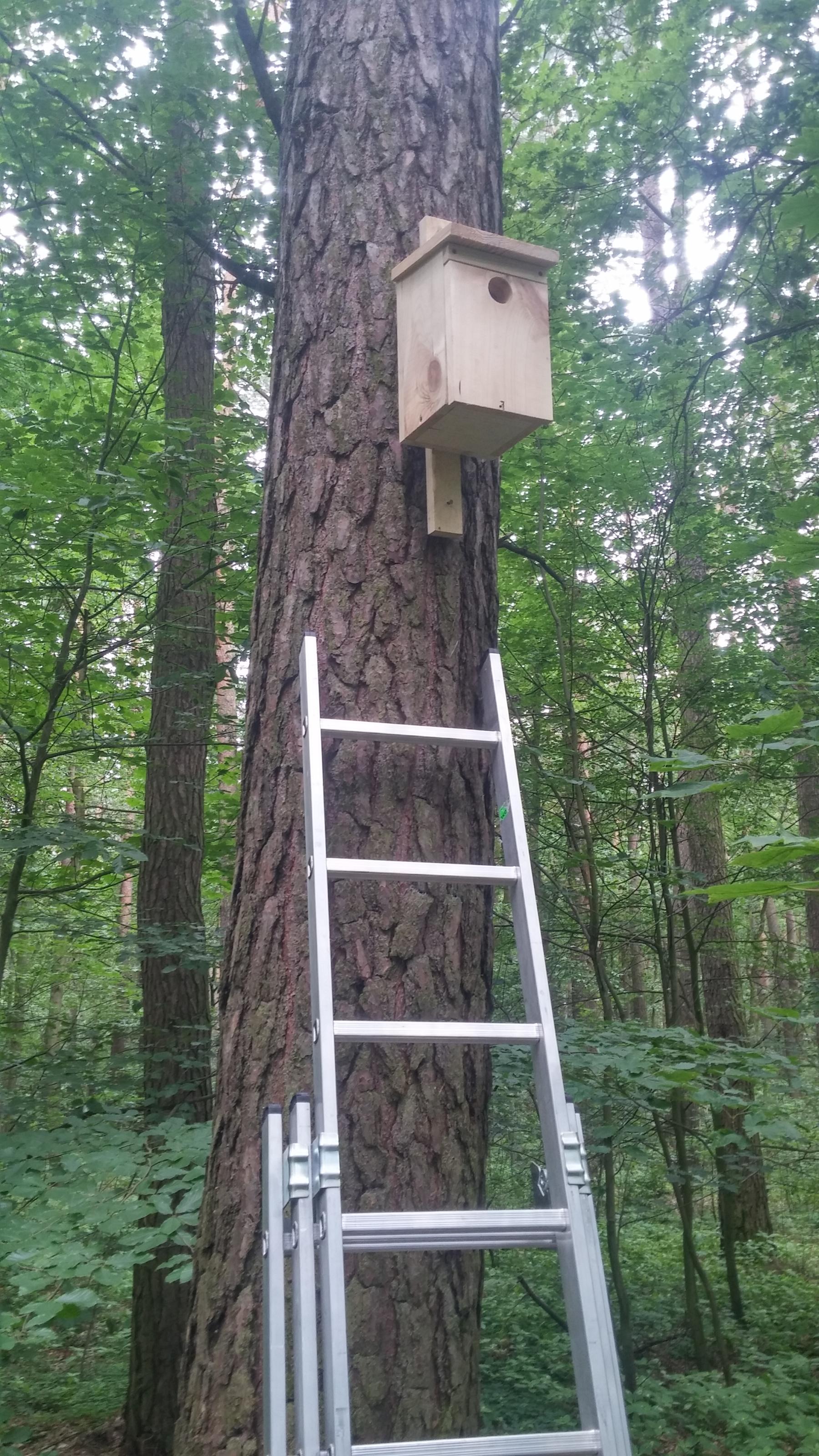 Powstaje ptasi azyl. W budowie pomagają mieszkańcy
