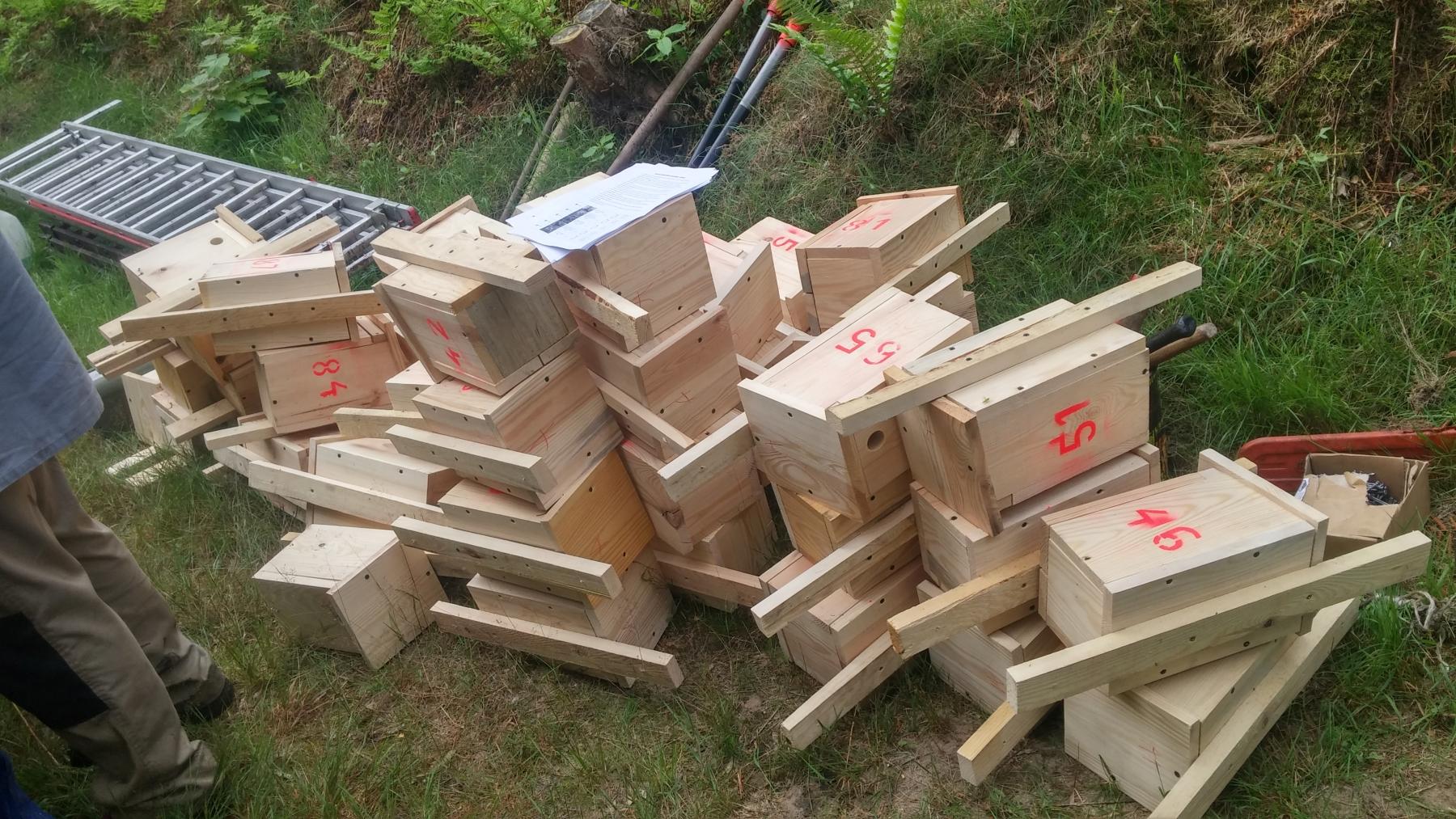 Powstaje ptasi azyl. W budowie pomagają mieszkańcy