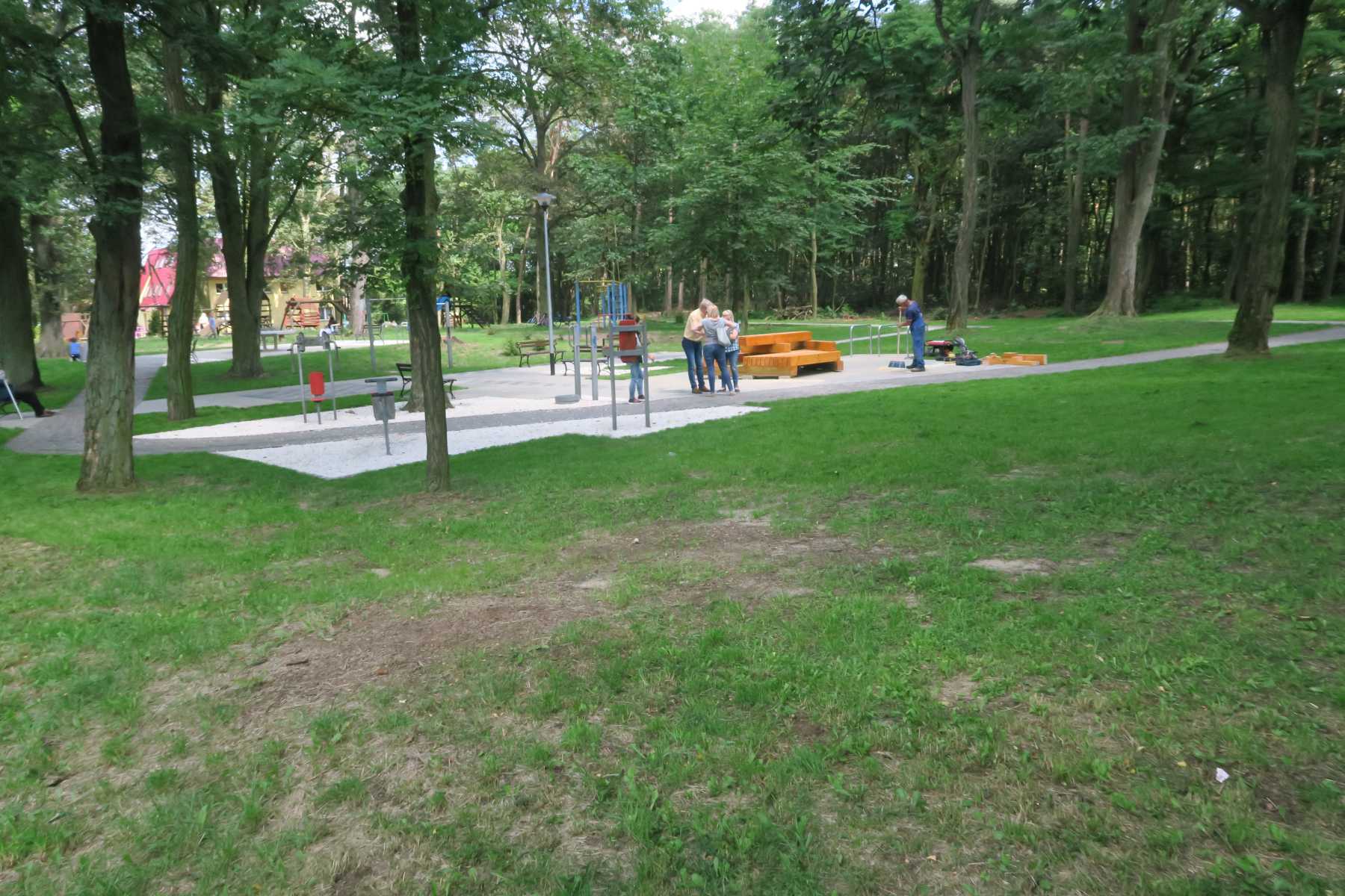 Gigantyczne grzyby w Wielgowie