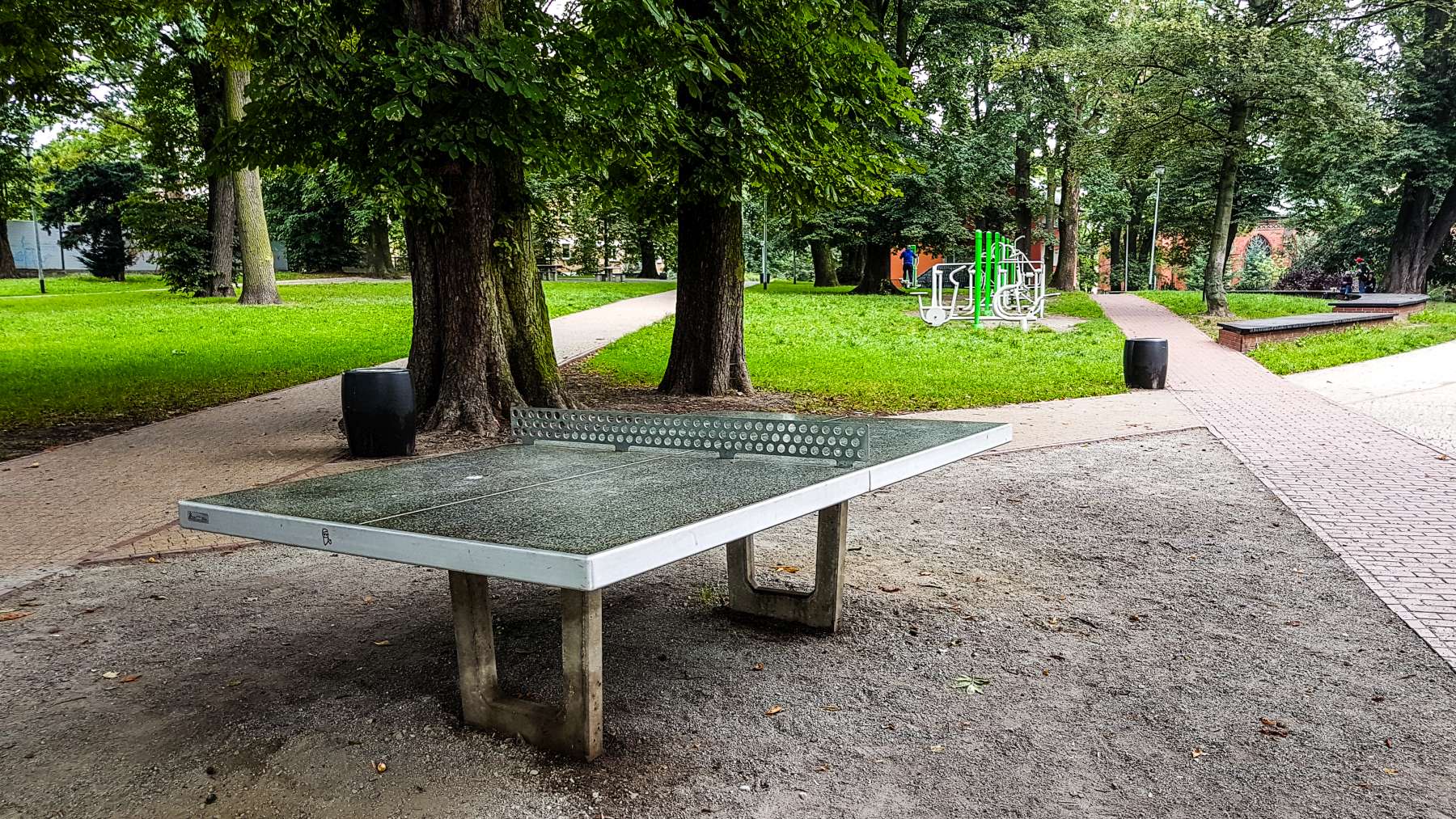 Park w centrum będzie jeszcze piękniejszy