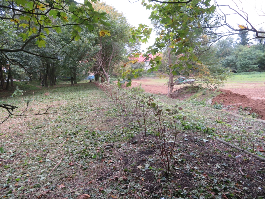 IMG_4465nasadzenia krzewów.jpg