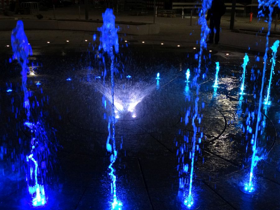 DSC00490.JPG
