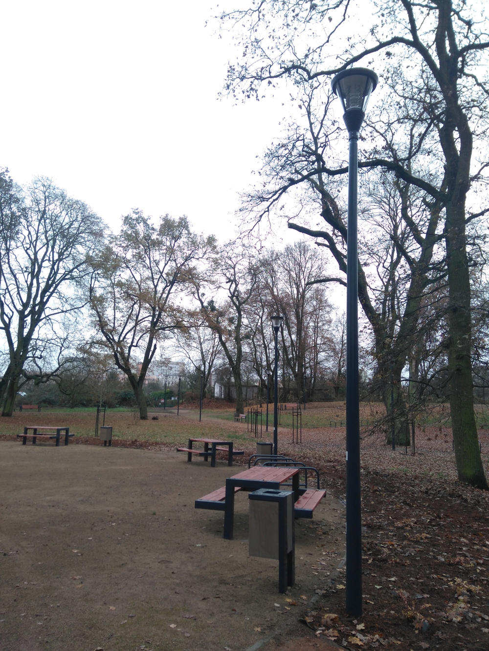 Setki nasadzeń w „nowym” parku Karpińskiego