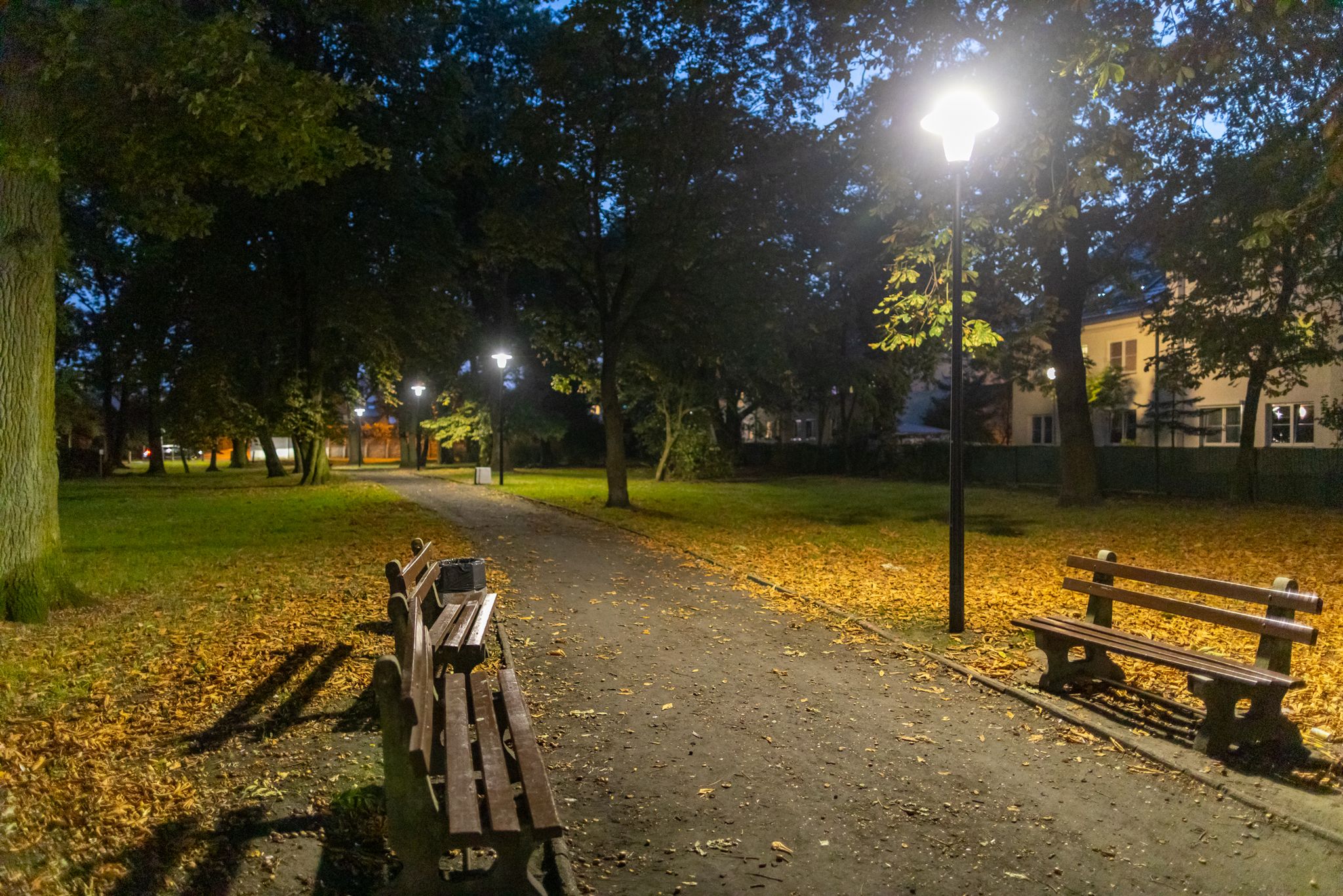 Jaśniej w parku na Pomorzanach