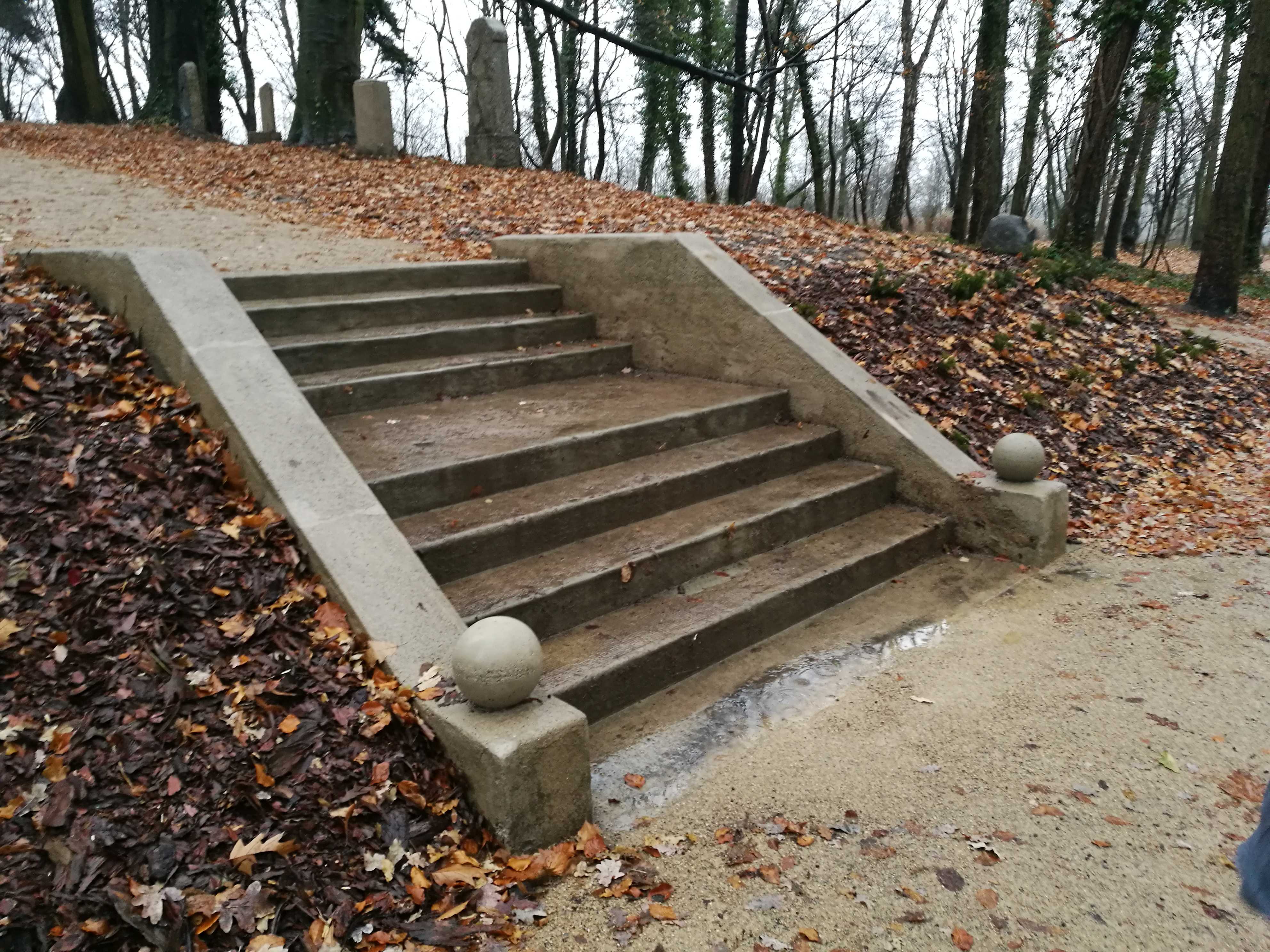 Szczecin zyskał nowy, piękny, nietypowy park