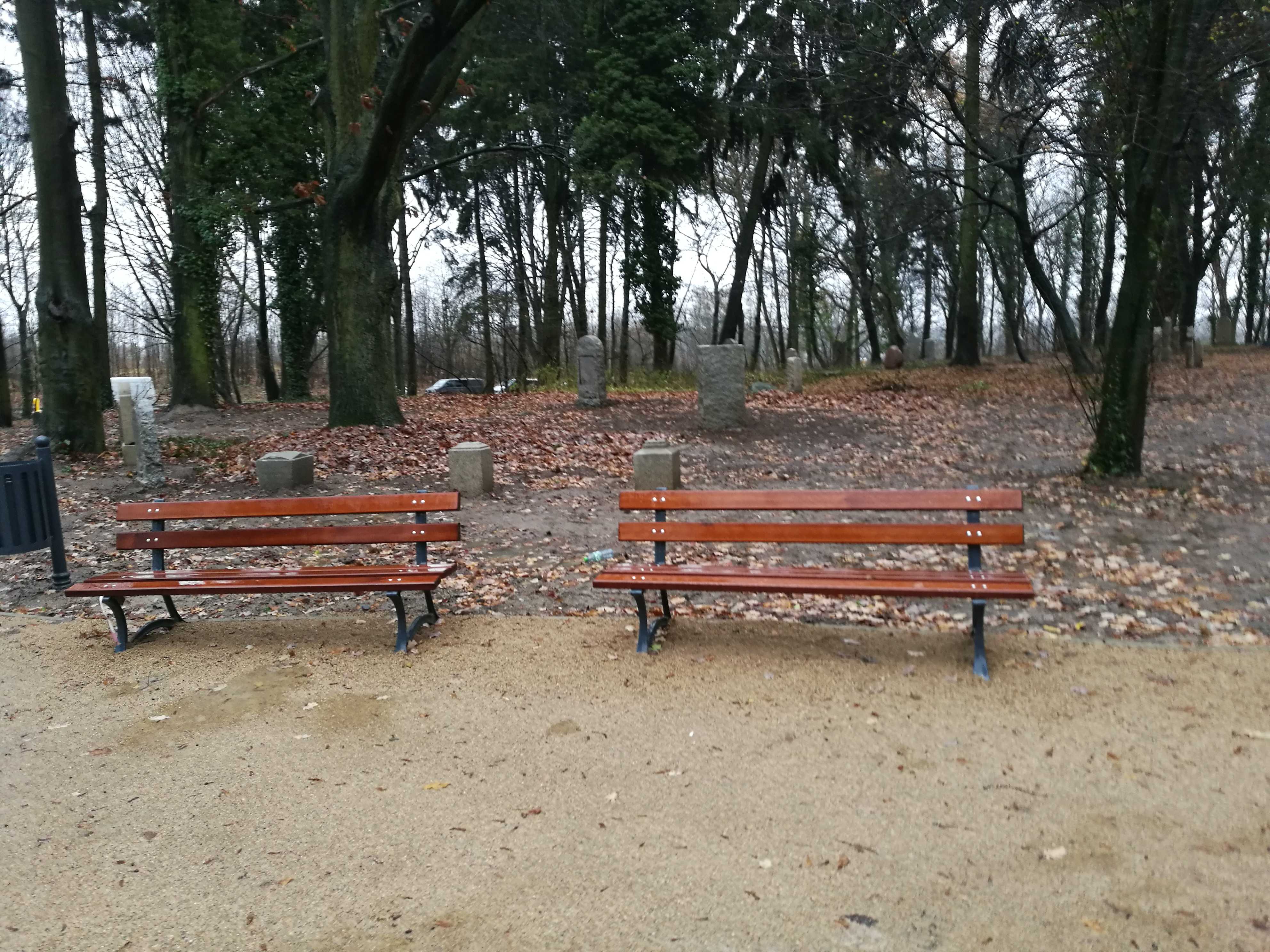 Szczecin zyskał nowy, piękny, nietypowy park