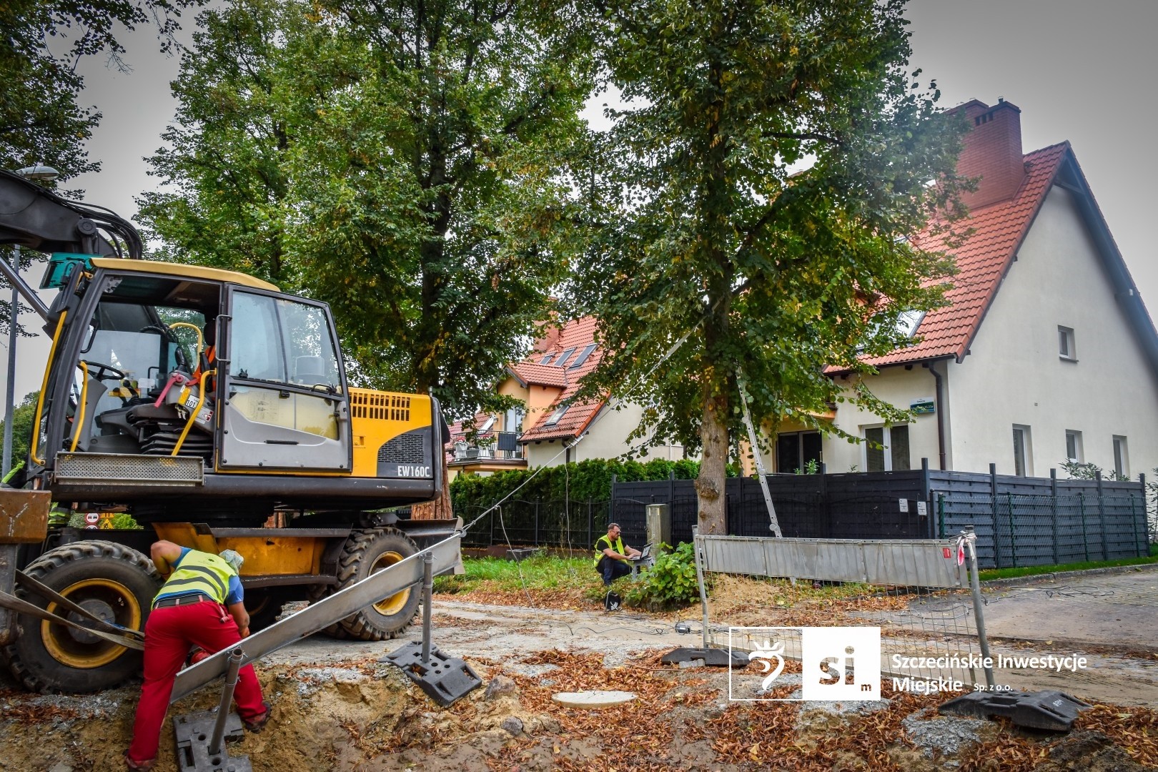 Diagnostyka zieleni w trakcie przebudowy ulic Smoczej i Krzemiennej.