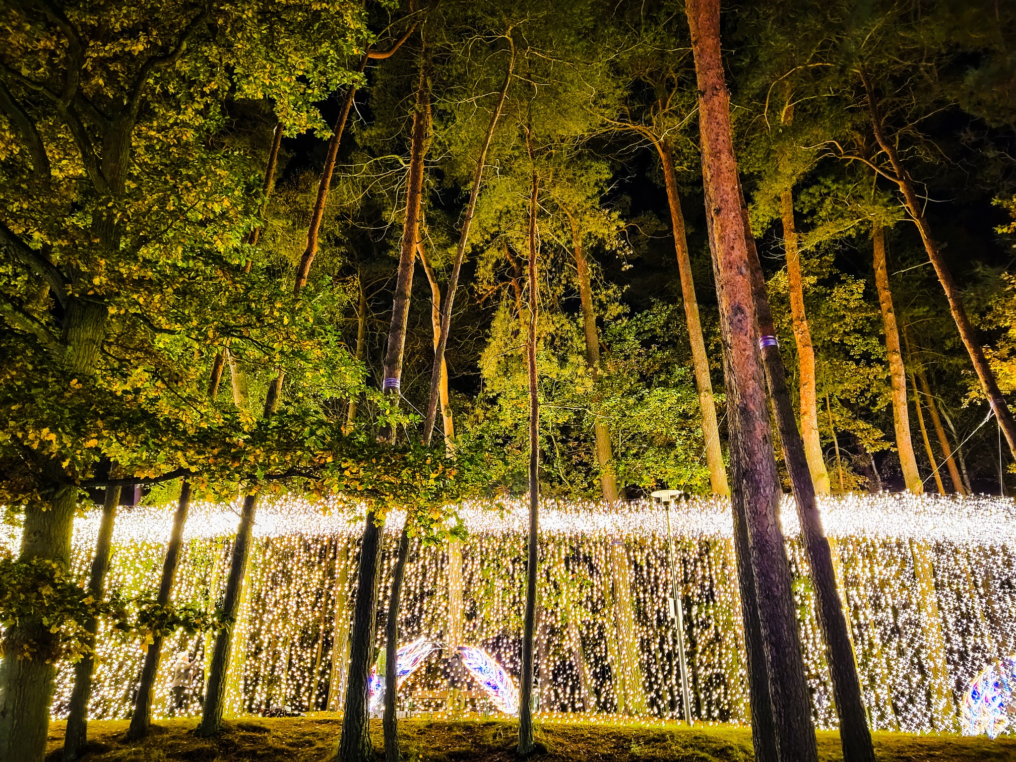 Garden of Lights Szczecin