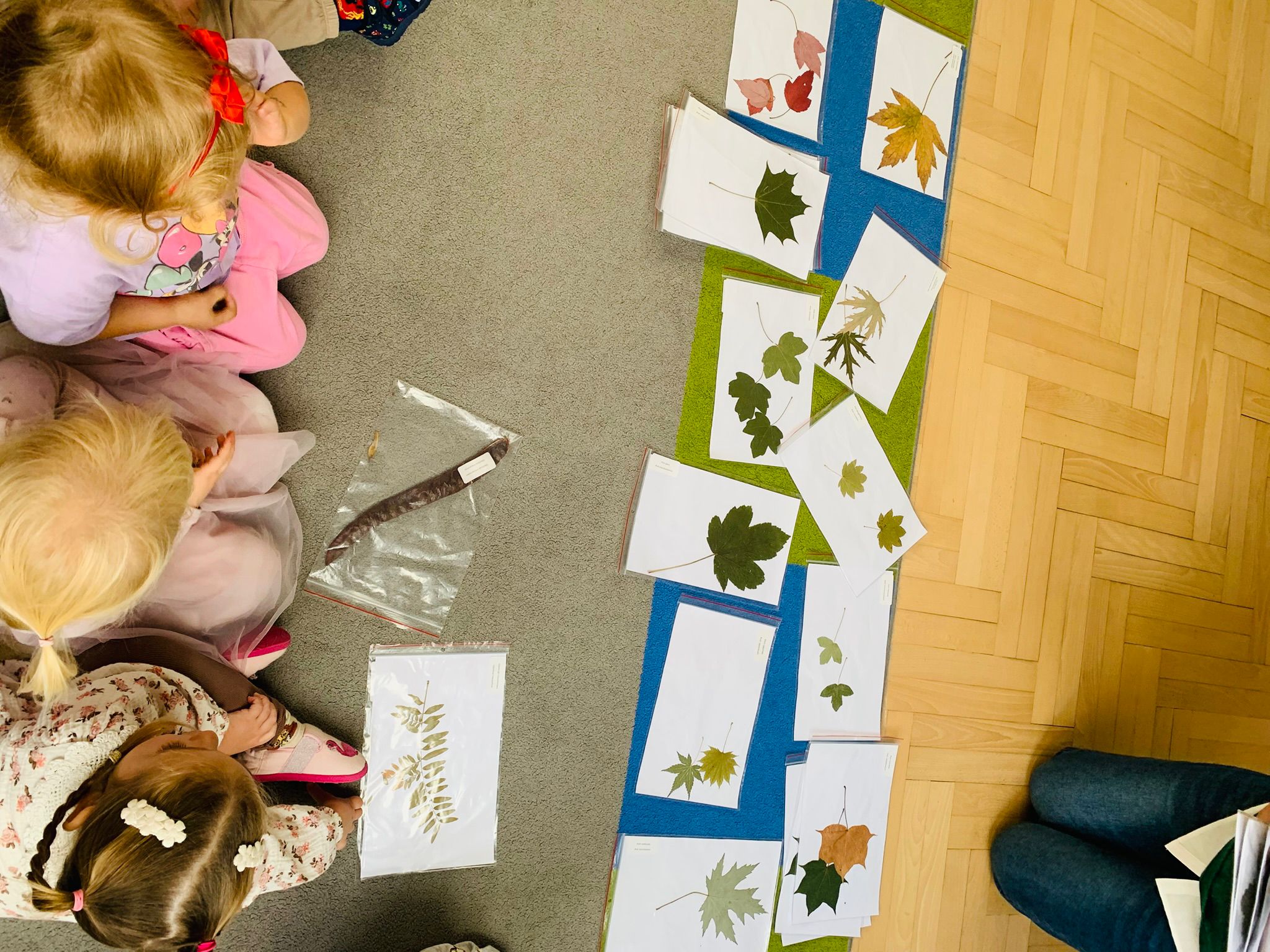 Zespół Biura Ogrodnika Miasta swoją pasją do zieleni miejskiej zaraża również najmłodszych szczecinian.