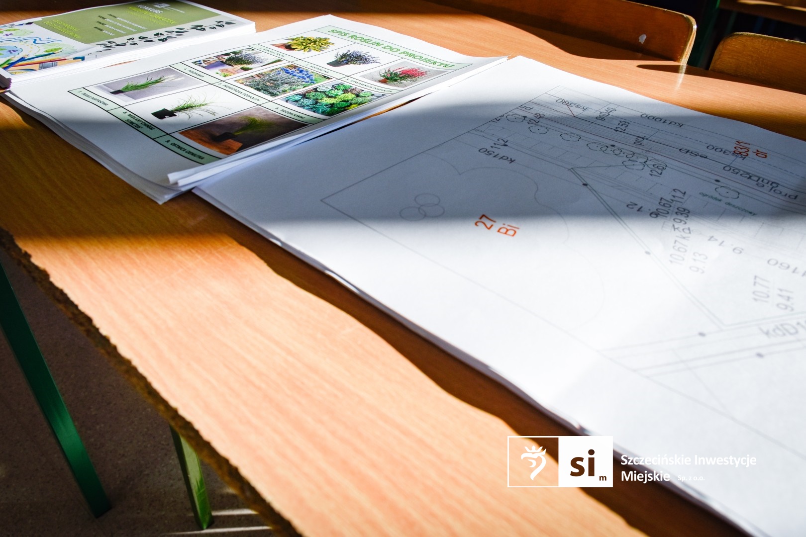 Uczniowie zaprojektują ogród deszczowy