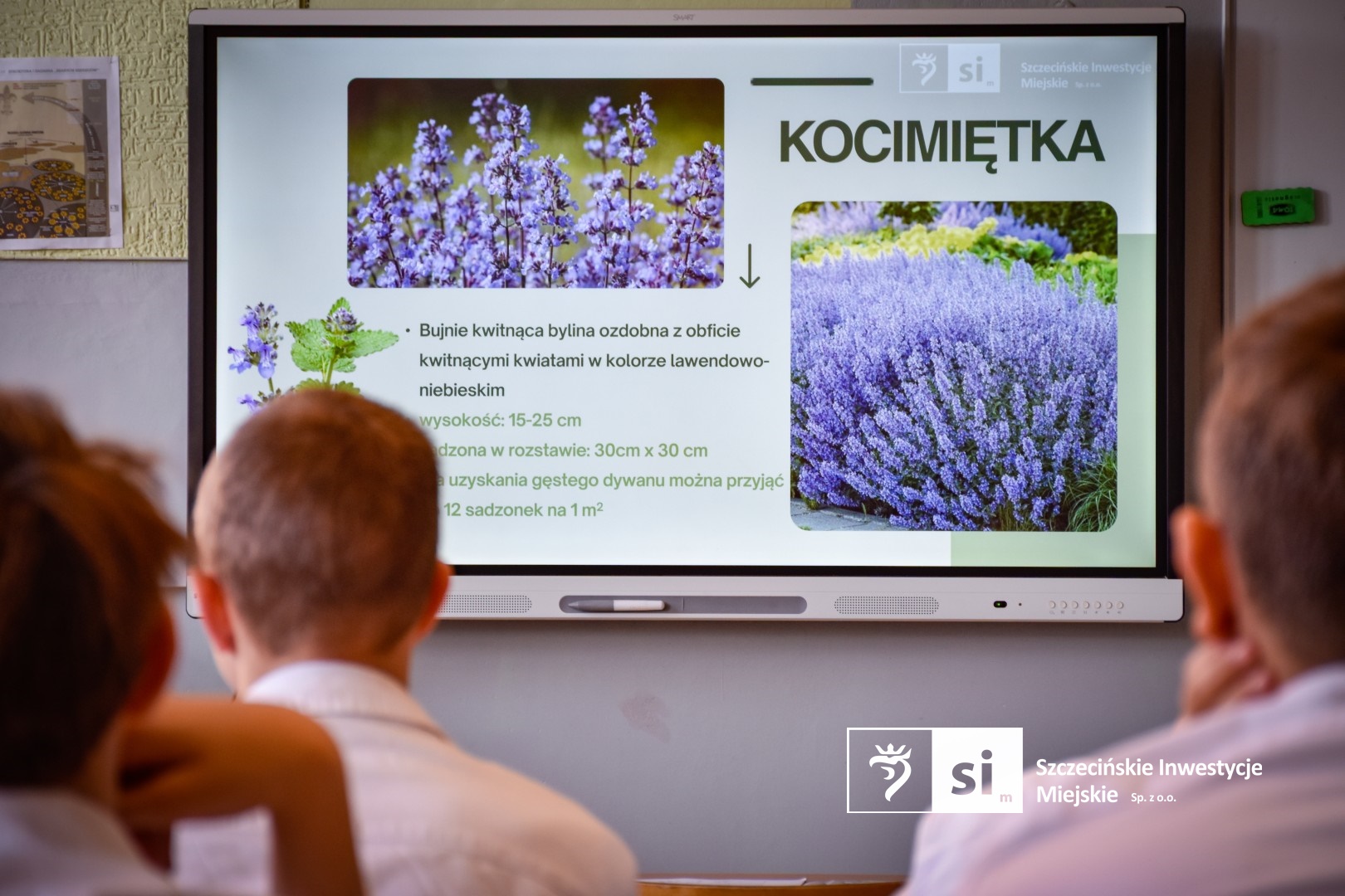 Uczniowie zaprojektują ogród deszczowy