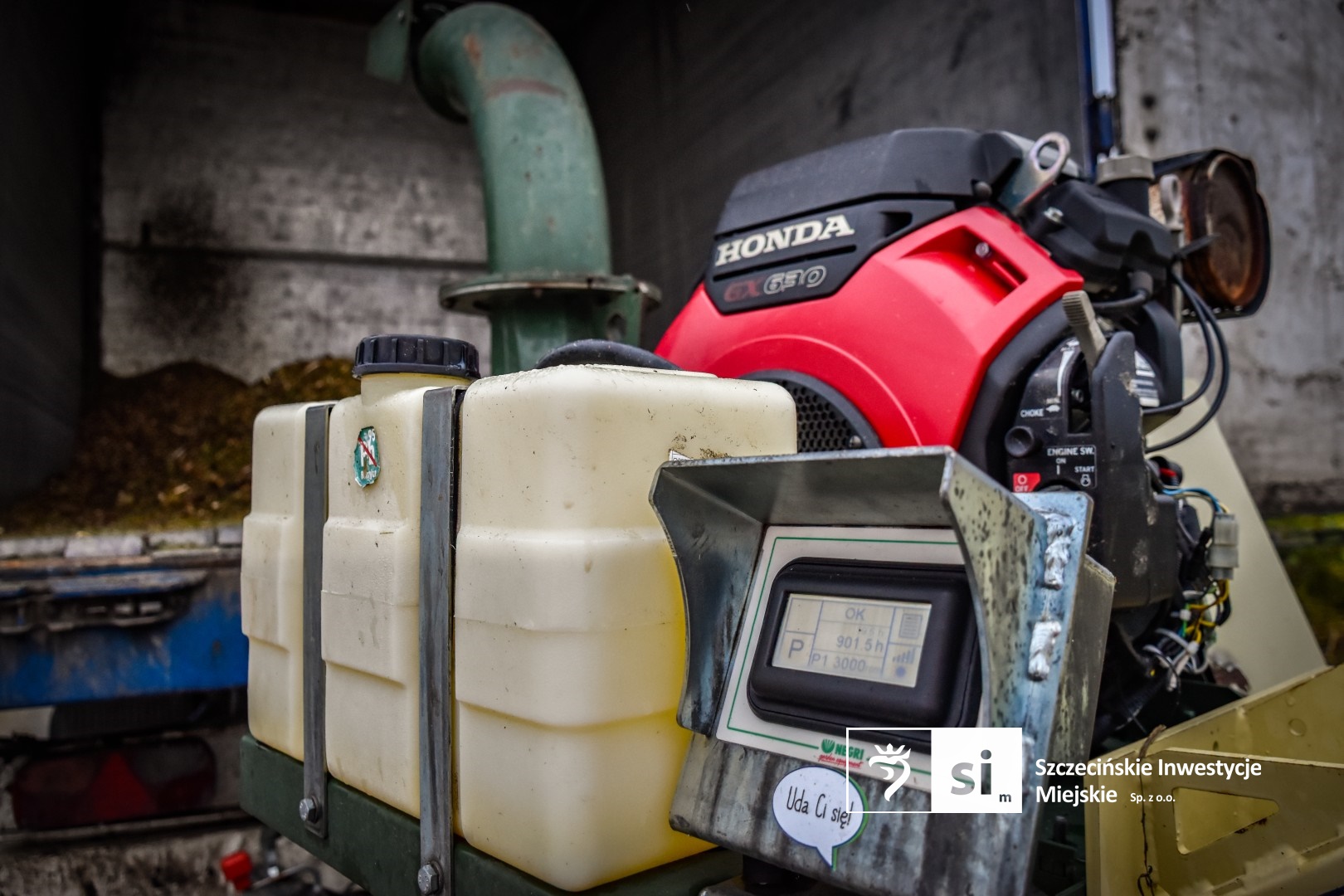 Ruszyły prace związane z eliminacją rdestowca rosnącego w obrębie Trasy Północnej.