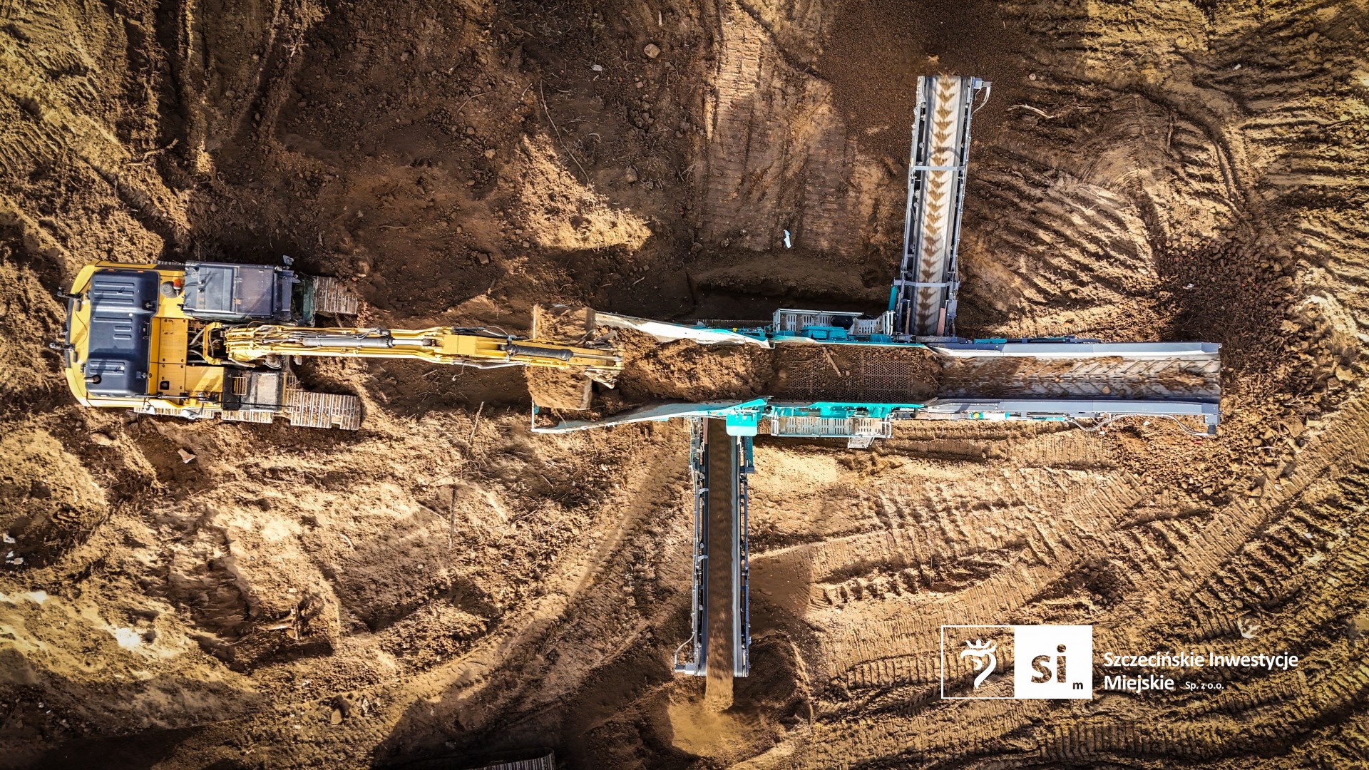 Ruszyły prace związane z eliminacją rdestowca rosnącego w obrębie Trasy Północnej.