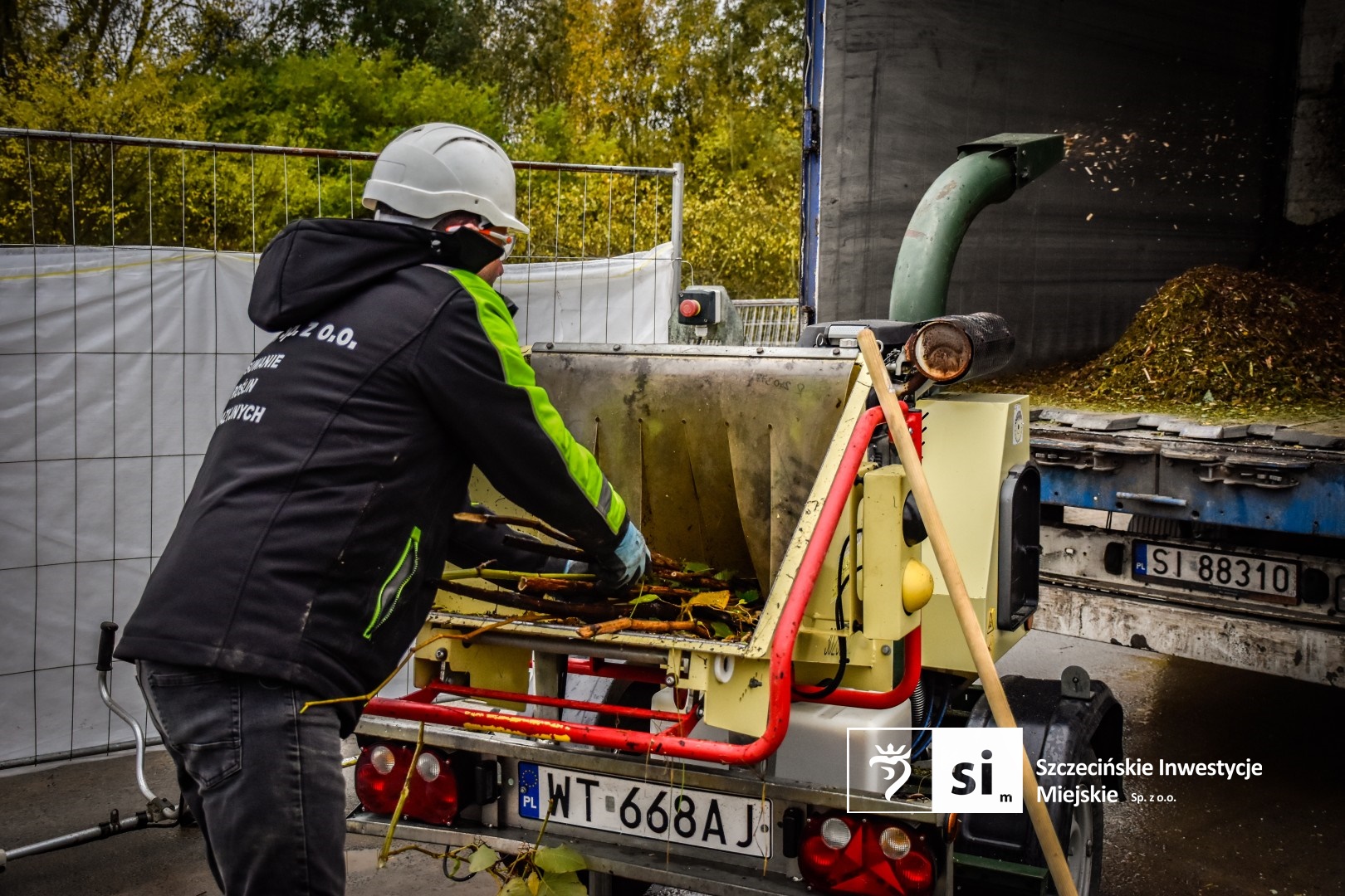 Ruszyły prace związane z eliminacją rdestowca rosnącego w obrębie Trasy Północnej.