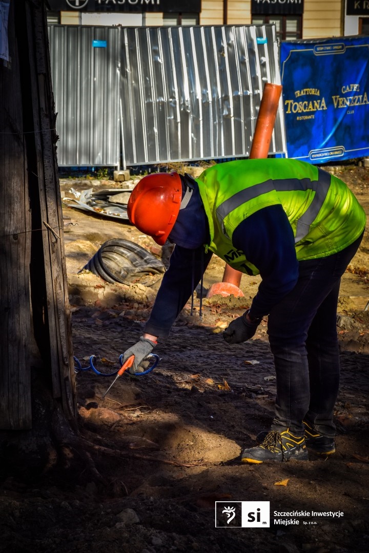Zabytkowy szpaler lip rosnący w obrębie modernizowanego Placu Orła Białego został poddany zabiegowi wydmuchiwania systemów korzeniowych.