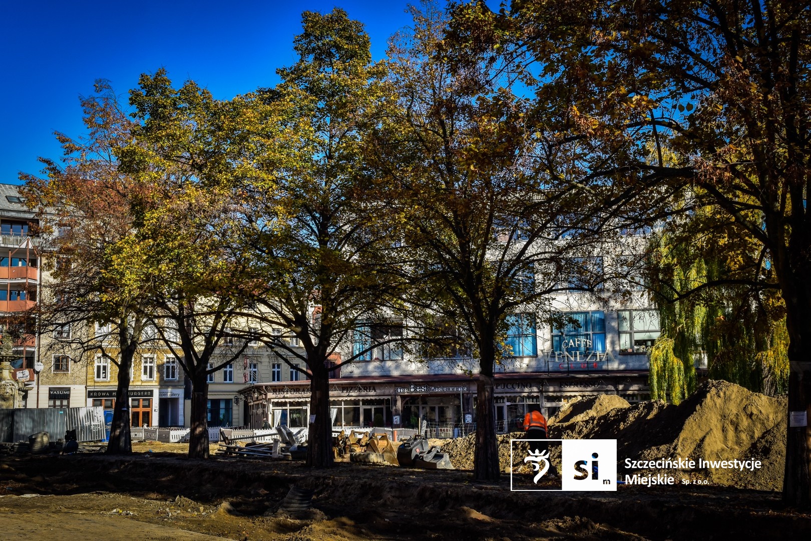 Zabytkowy szpaler lip rosnący w obrębie modernizowanego Placu Orła Białego został poddany zabiegowi wydmuchiwania systemów korzeniowych.