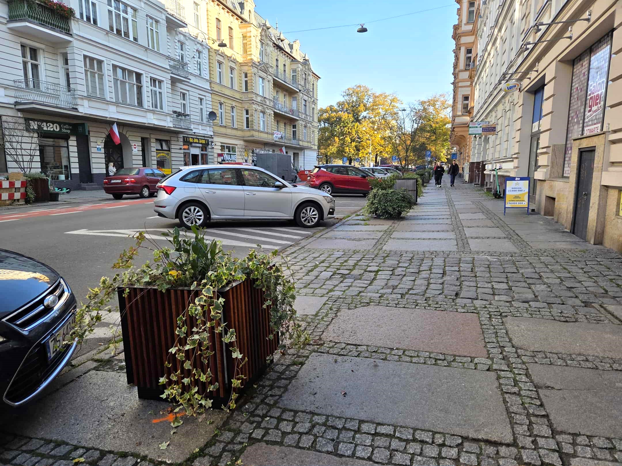 Bambusy i pstrolistki na Jagiellońskiej Bambusy i pstrolistki na Jagiellońskiej