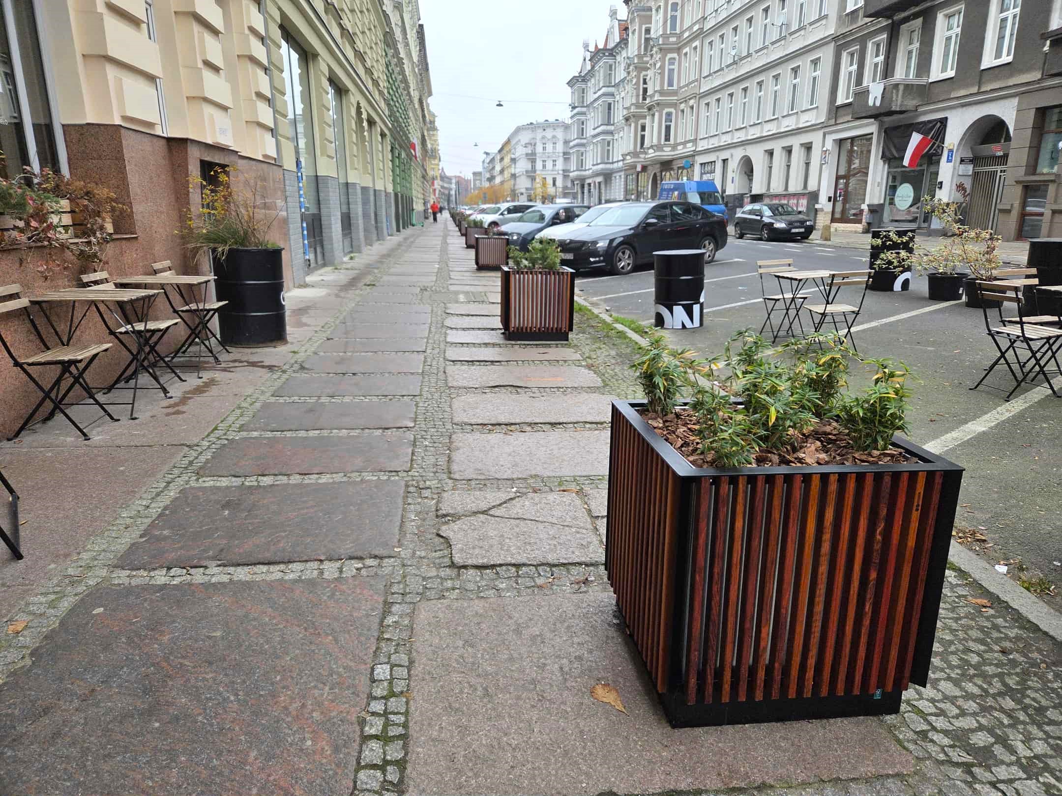 Bambusy i pstrolistki na Jagiellońskiej Bambusy i pstrolistki na Jagiellońskiej