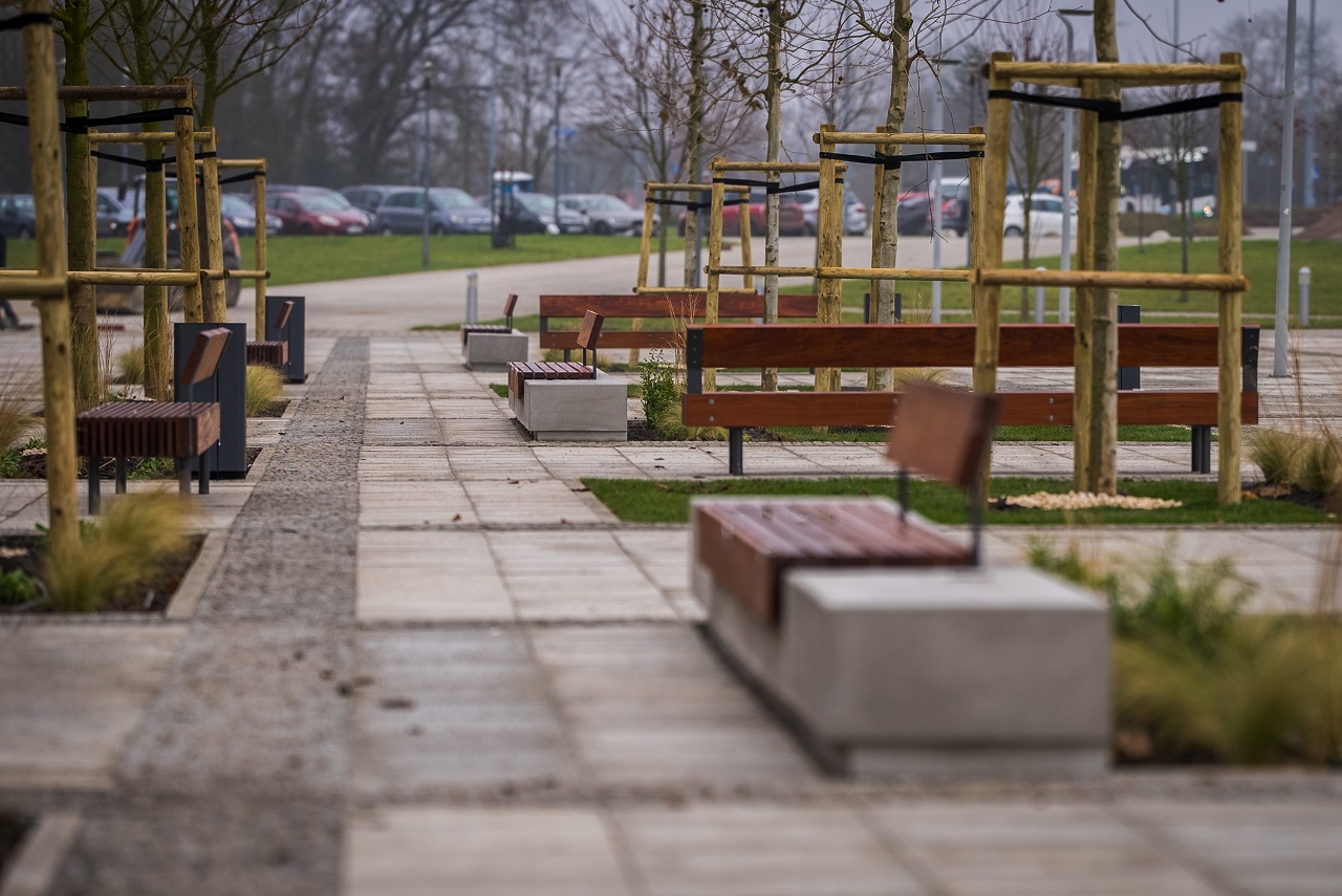 Zielona metamorfoza na Szafera