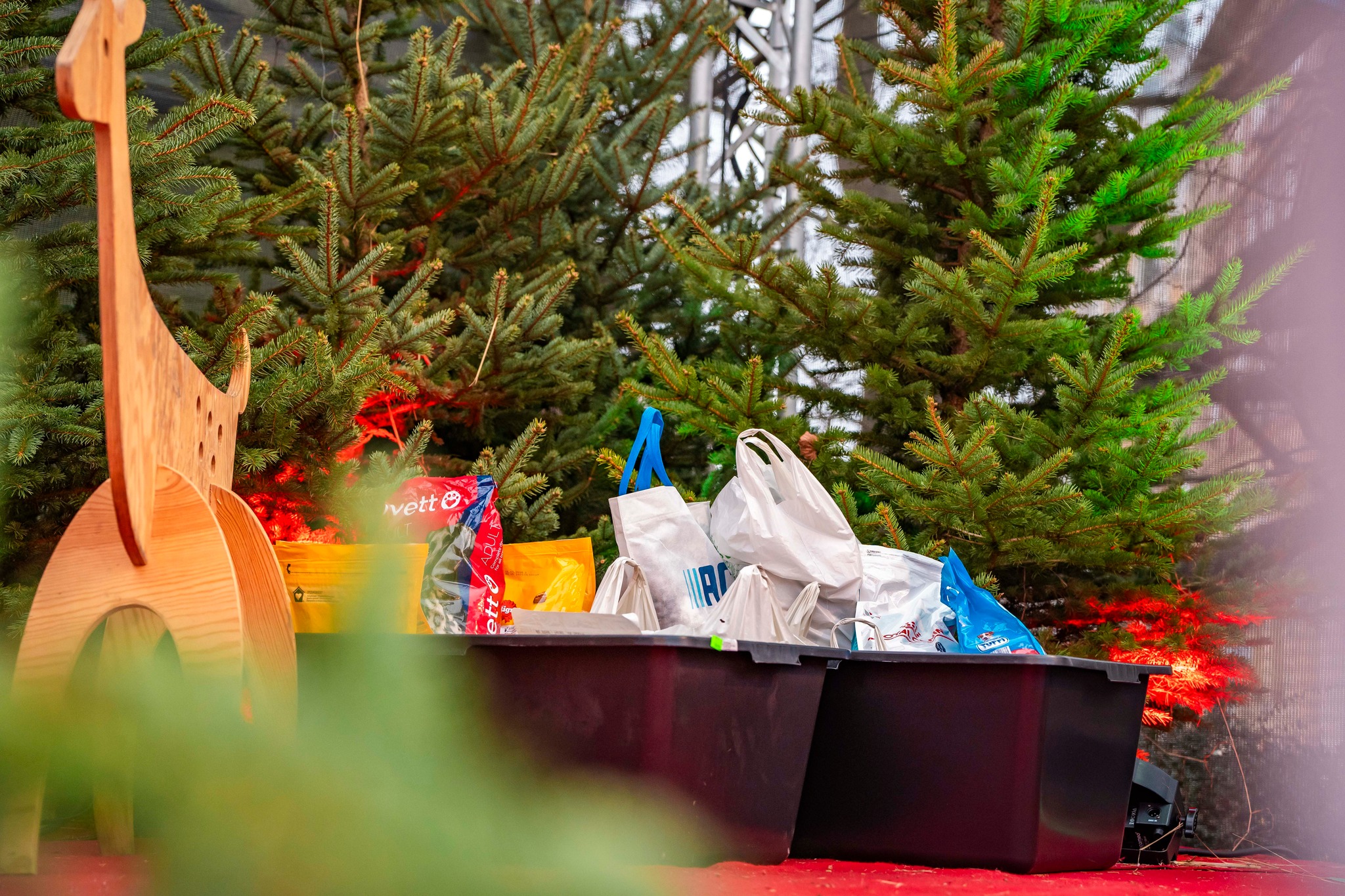 Niedziela upłynie w szczególnie ciepłej i zaangażowanej atmosferze dzięki akcji charytatywnej „Iglaki za przysmaki” Niedziela upłynie w szczególnie ciepłej i zaangażowanej atmosferze dzięki akcji charytatywnej „Iglaki za przysmaki”