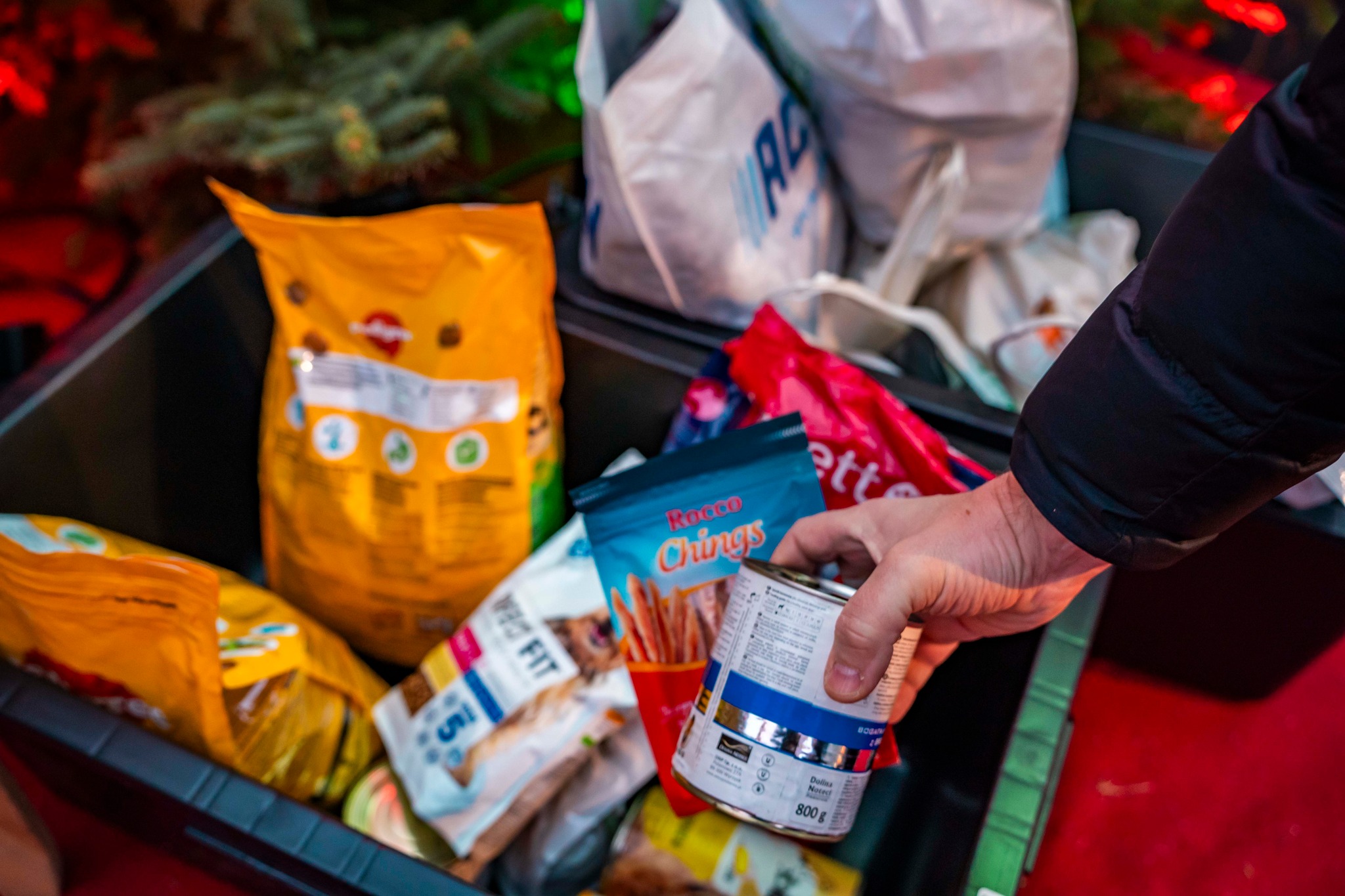 Niedziela upłynie w szczególnie ciepłej i zaangażowanej atmosferze dzięki akcji charytatywnej „Iglaki za przysmaki” Niedziela upłynie w szczególnie ciepłej i zaangażowanej atmosferze dzięki akcji charytatywnej „Iglaki za przysmaki”