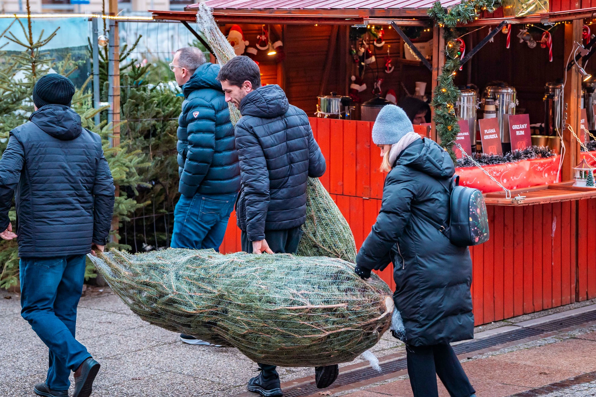 Niedziela upłynie w szczególnie ciepłej i zaangażowanej atmosferze dzięki akcji charytatywnej „Iglaki za przysmaki” Niedziela upłynie w szczególnie ciepłej i zaangażowanej atmosferze dzięki akcji charytatywnej „Iglaki za przysmaki”