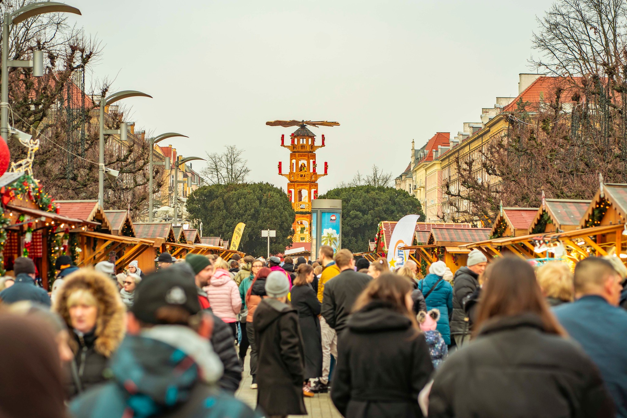 Niedziela upłynie w szczególnie ciepłej i zaangażowanej atmosferze dzięki akcji charytatywnej „Iglaki za przysmaki” Niedziela upłynie w szczególnie ciepłej i zaangażowanej atmosferze dzięki akcji charytatywnej „Iglaki za przysmaki”