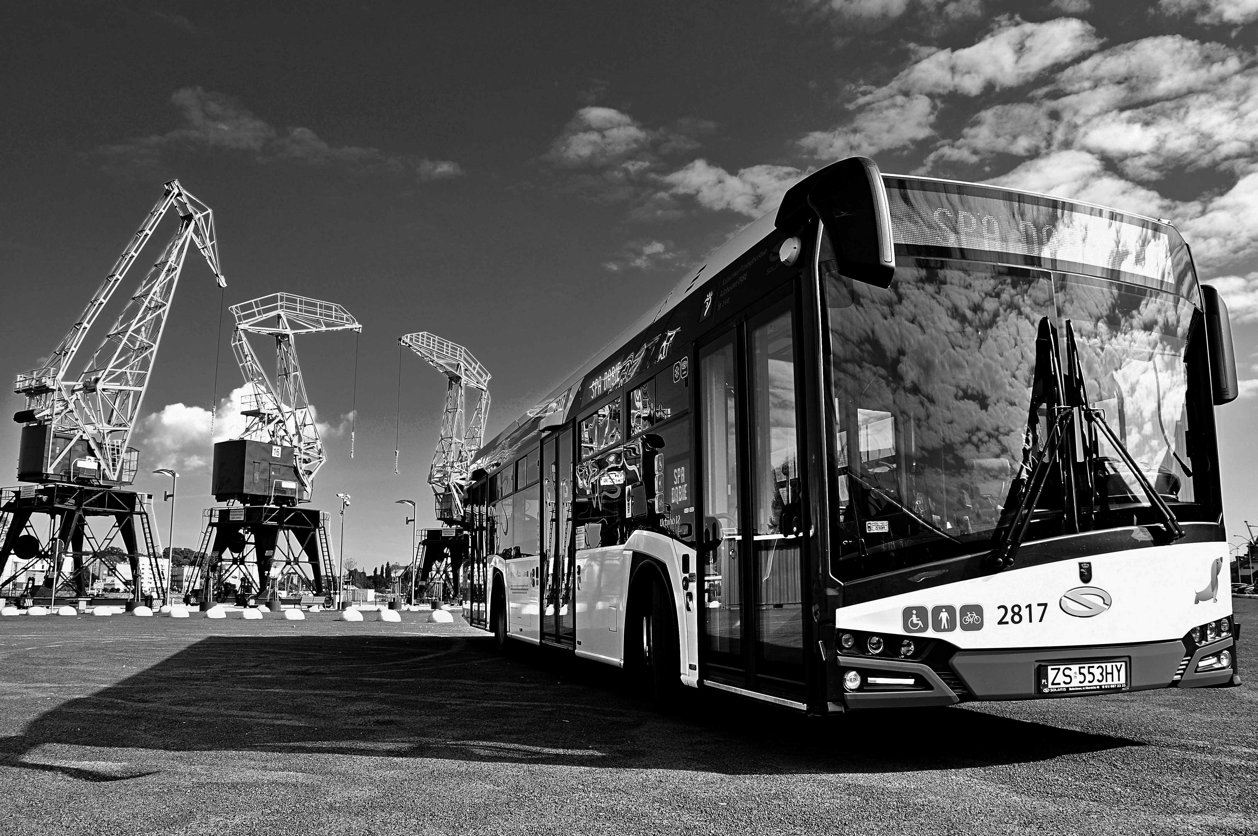 Szczecin zamawia dodatkowe 22 autobusy hybrydowe